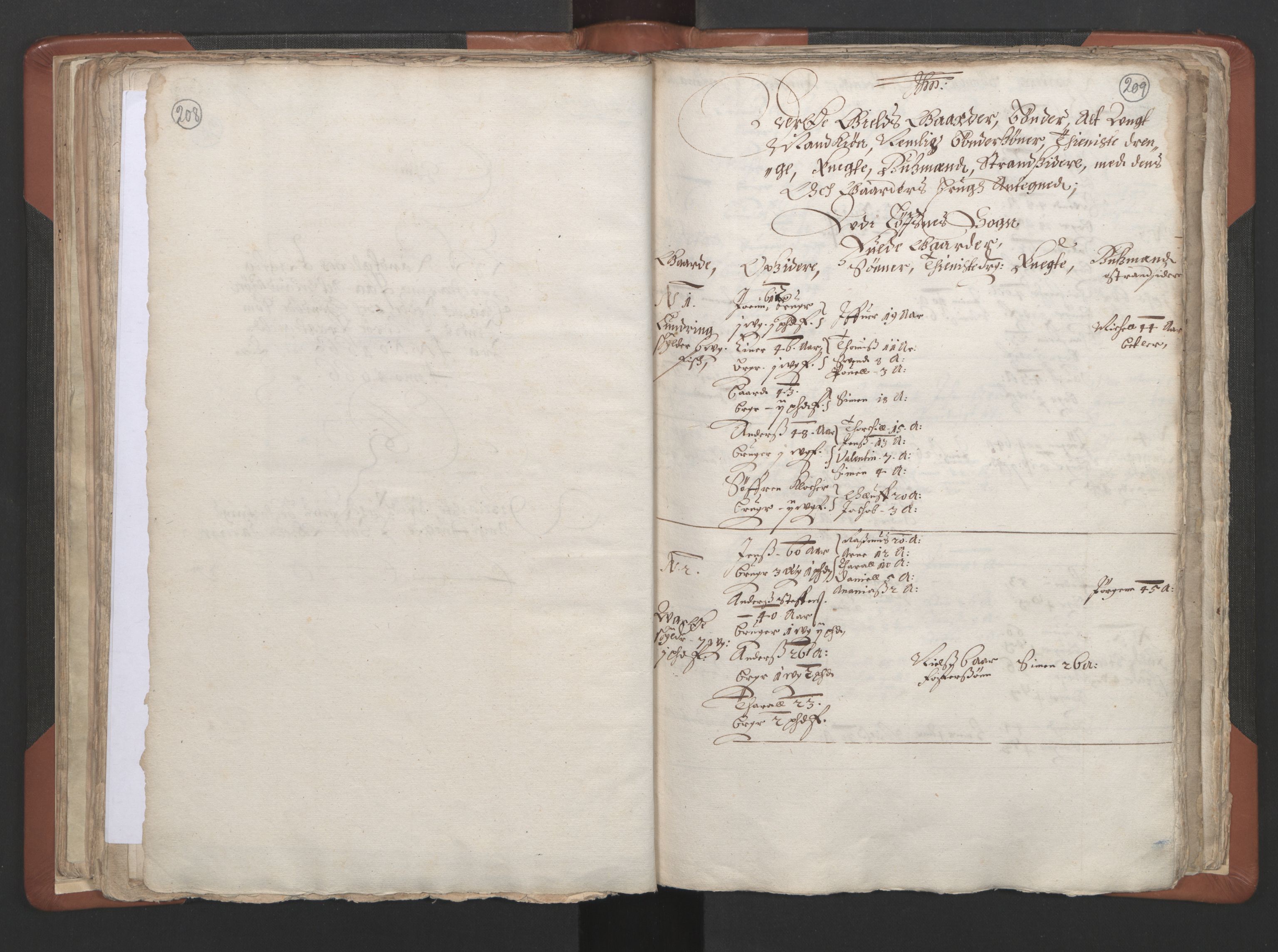 RA, Vicar's Census 1664-1666, no. 34: Namdal deanery, 1664-1666, p. 208-209