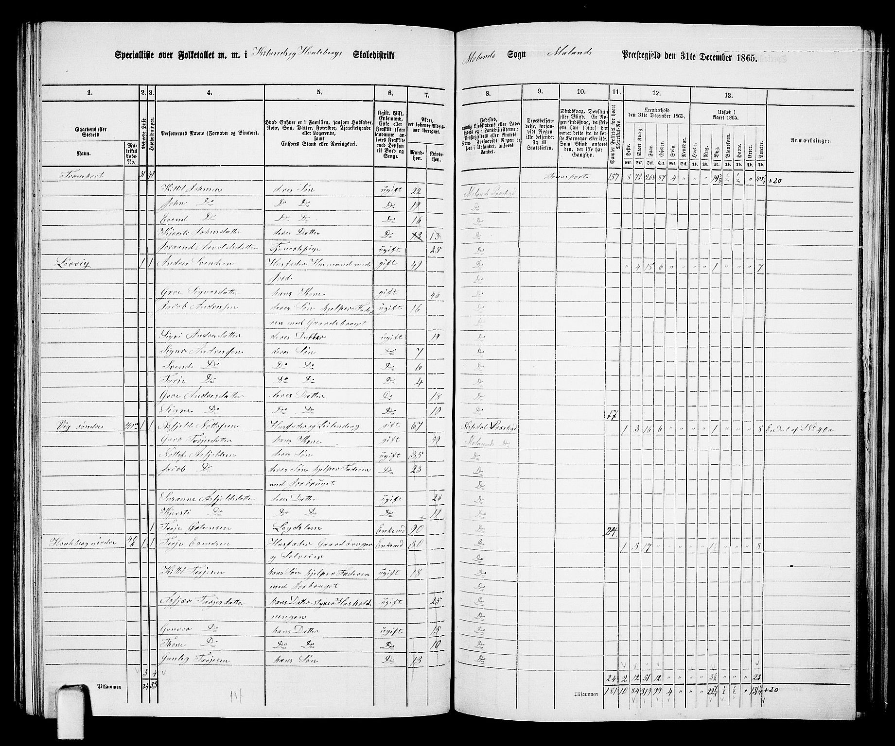 RA, 1865 census for Moland, 1865, p. 33