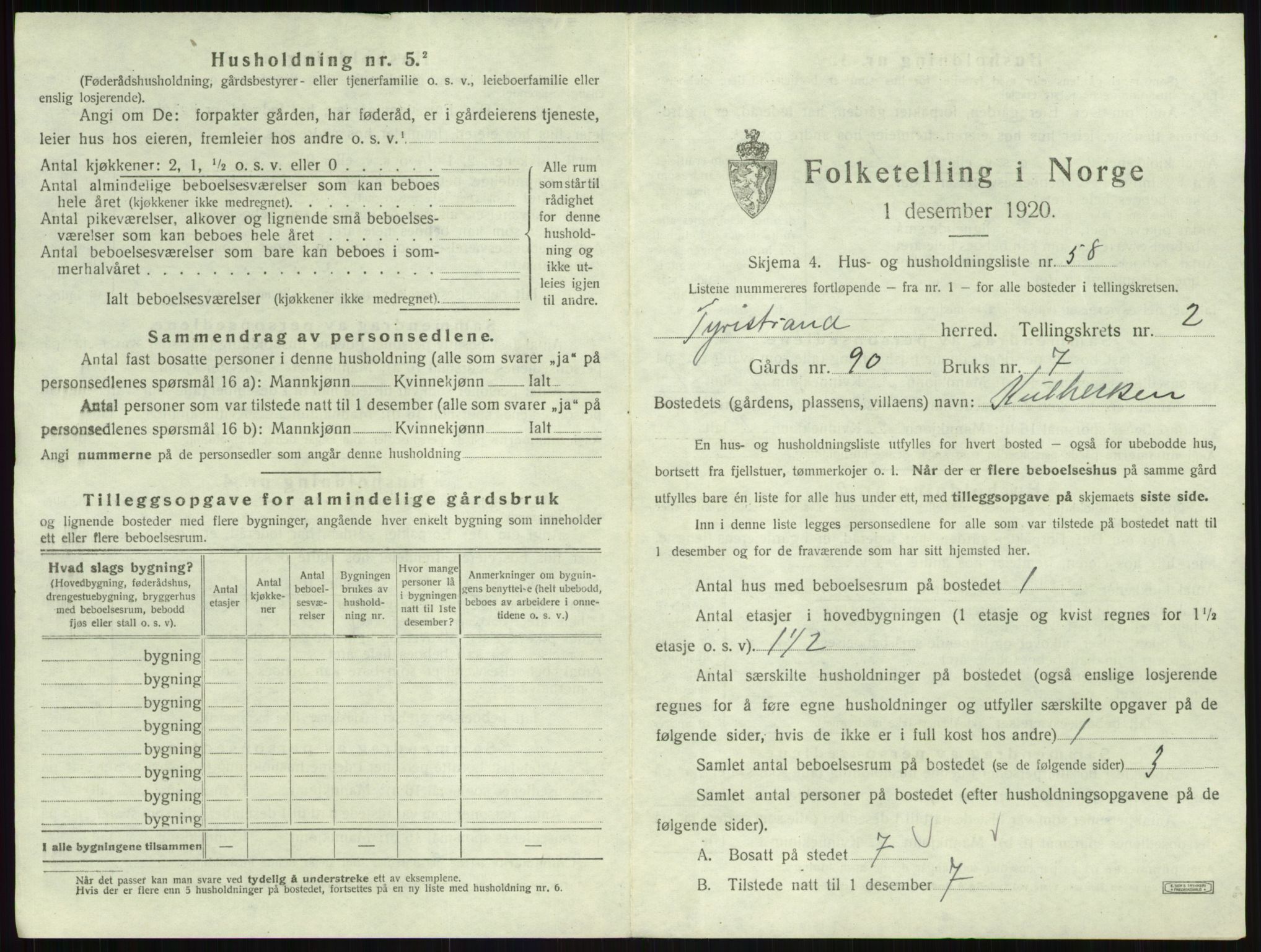 SAKO, 1920 census for Tyristrand, 1920, p. 246