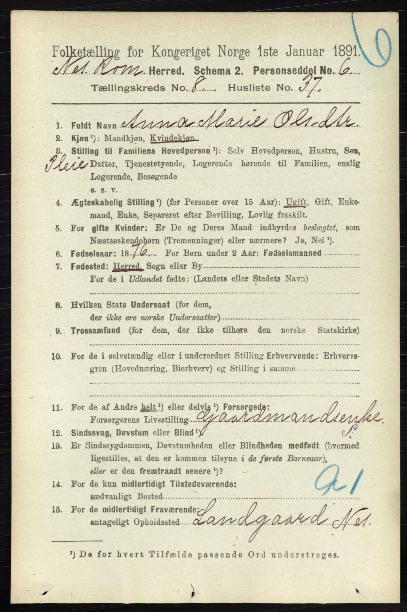 RA, 1891 census for 0236 Nes, 1891, p. 4839