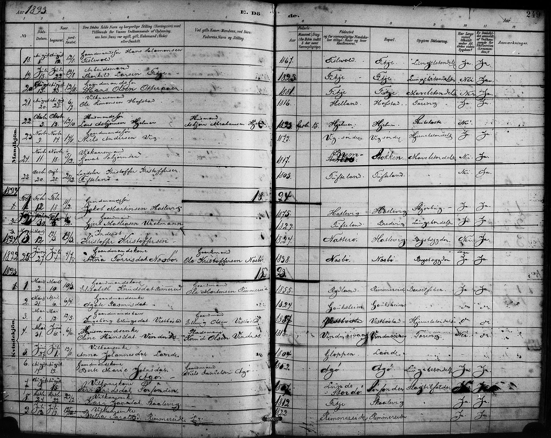 Fitjar sokneprestembete, AV/SAB-A-99926: Parish register (official) no. A 2, 1882-1899, p. 249