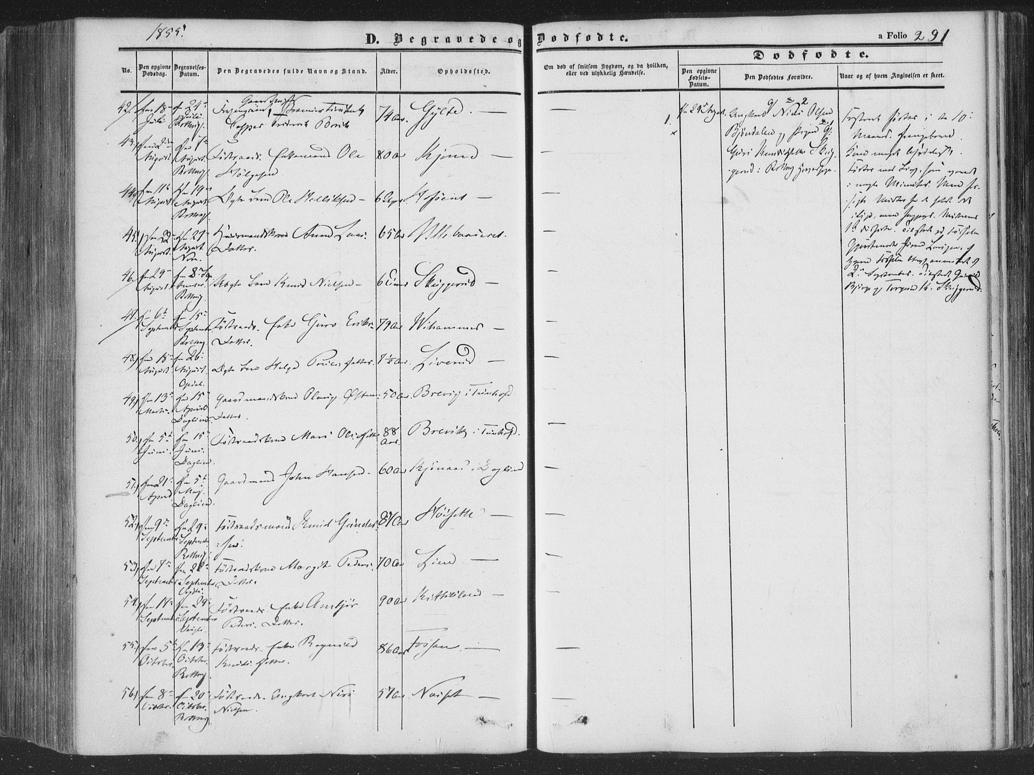 Rollag kirkebøker, SAKO/A-240/F/Fa/L0008: Parish register (official) no. I 8, 1847-1860, p. 291