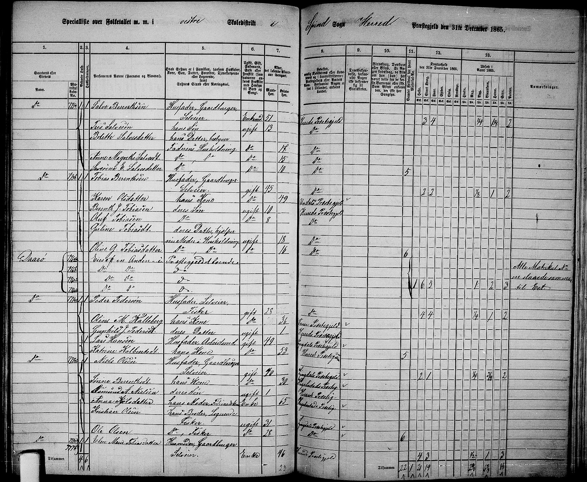 RA, 1865 census for Herad, 1865, p. 55