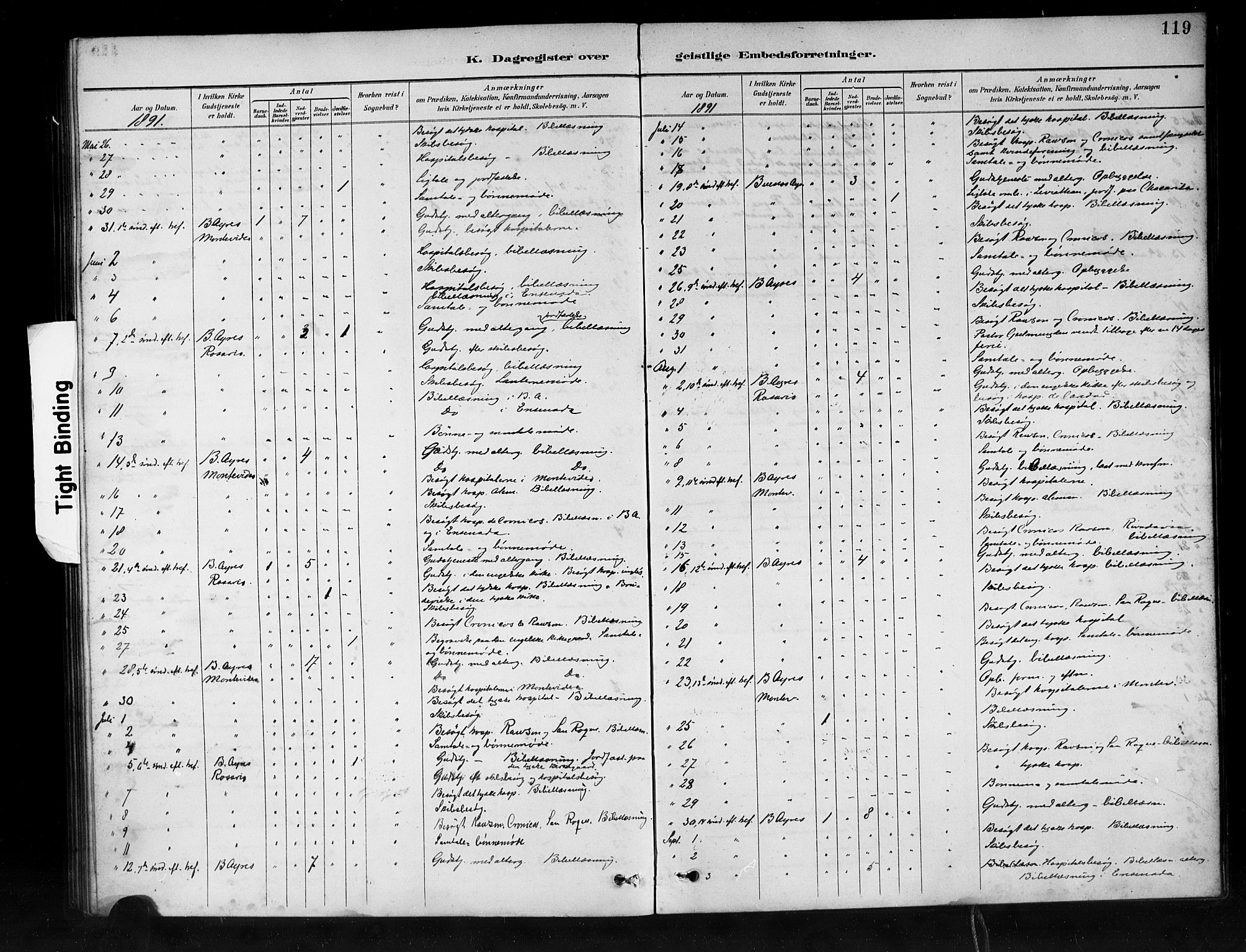 Den norske sjømannsmisjon i utlandet/Syd-Amerika (Buenos Aires m.fl.), AV/SAB-SAB/PA-0118/H/Ha/L0001: Parish register (official) no. A 1, 1888-1898, p. 119