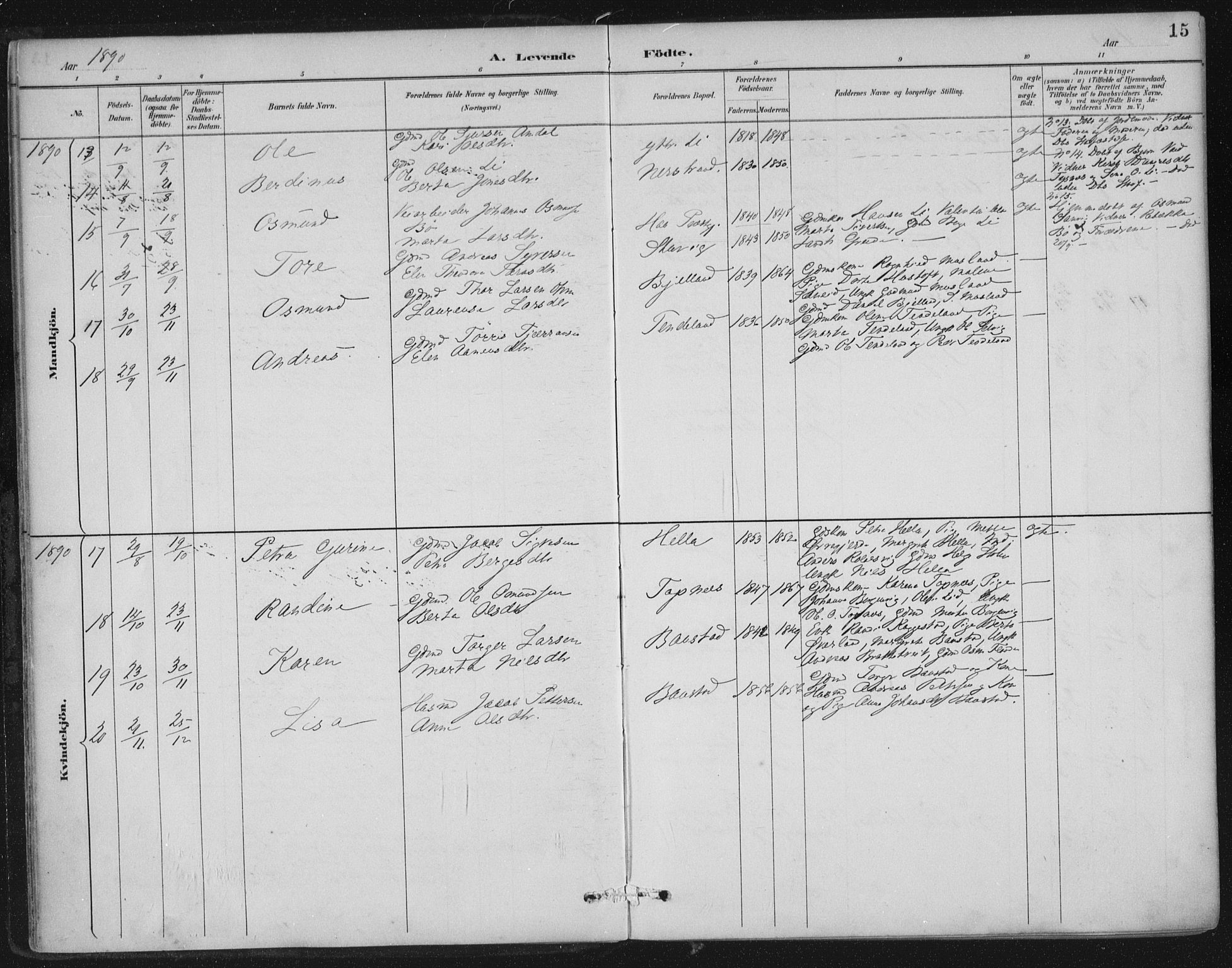 Nedstrand sokneprestkontor, AV/SAST-A-101841/01/IV: Parish register (official) no. A 12, 1887-1915, p. 15