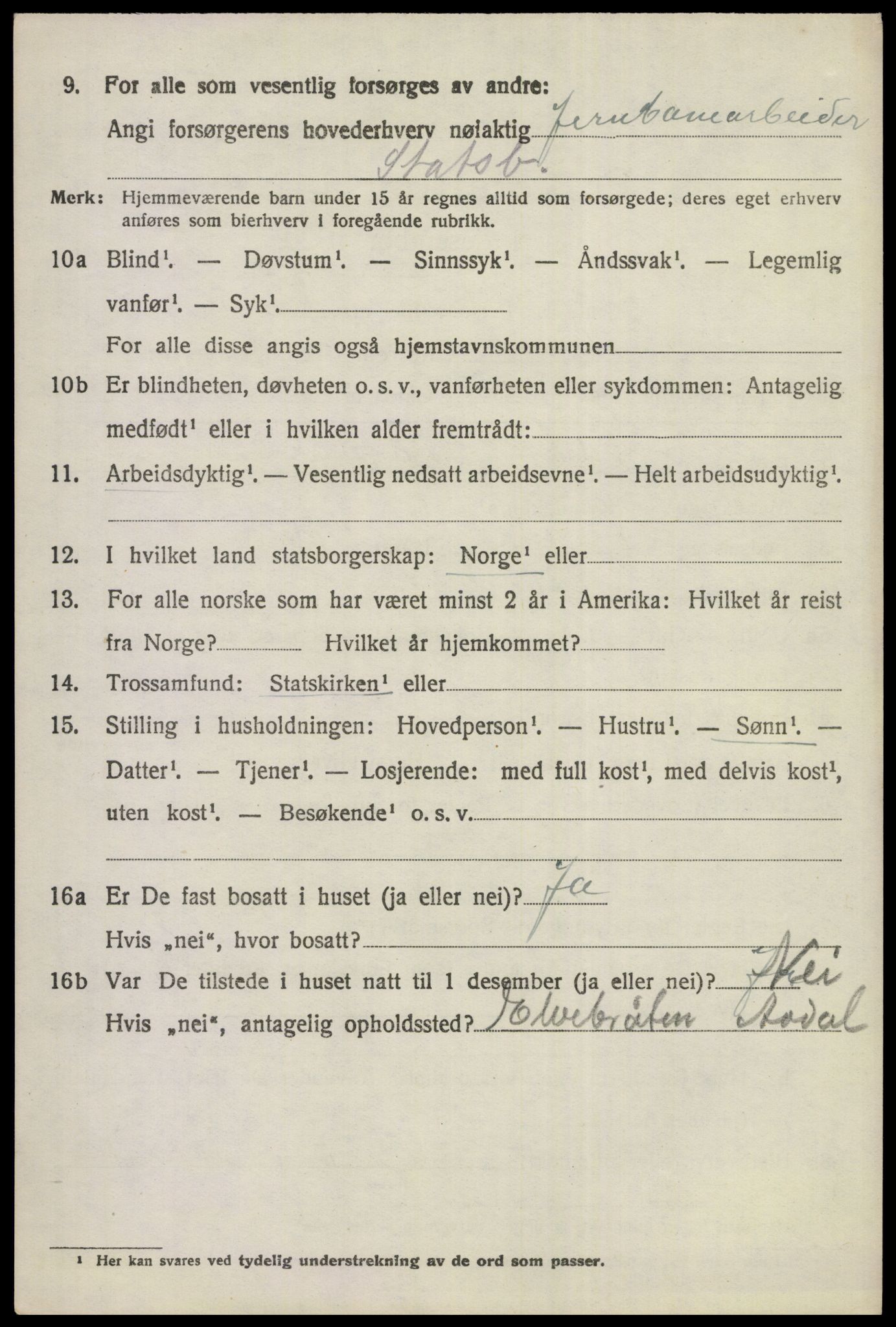 SAKO, 1920 census for Ådal, 1920, p. 2993