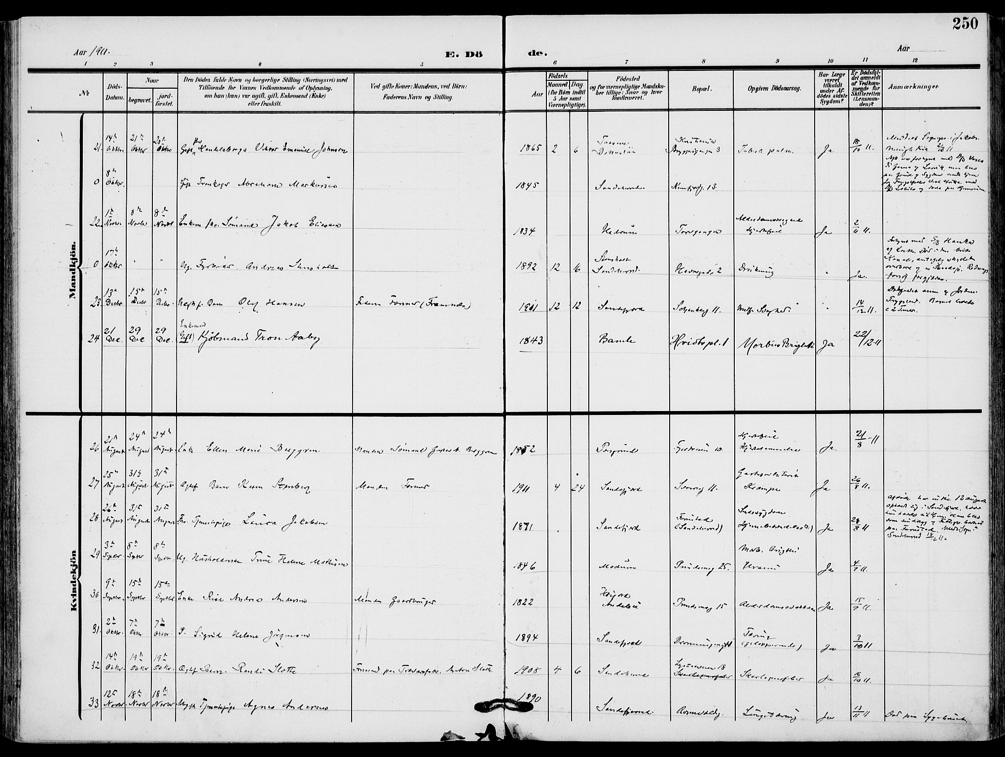 Sandefjord kirkebøker, SAKO/A-315/F/Fa/L0005: Parish register (official) no. 5, 1906-1915, p. 250