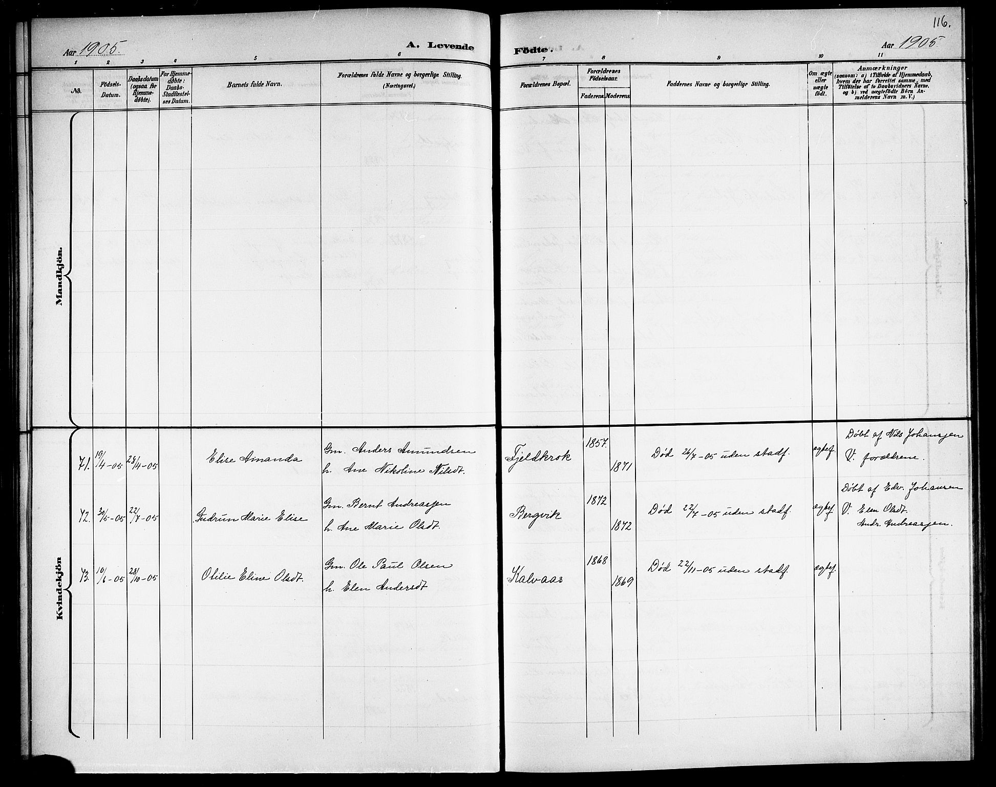 Ministerialprotokoller, klokkerbøker og fødselsregistre - Nordland, AV/SAT-A-1459/863/L0915: Parish register (copy) no. 863C05, 1898-1907, p. 116