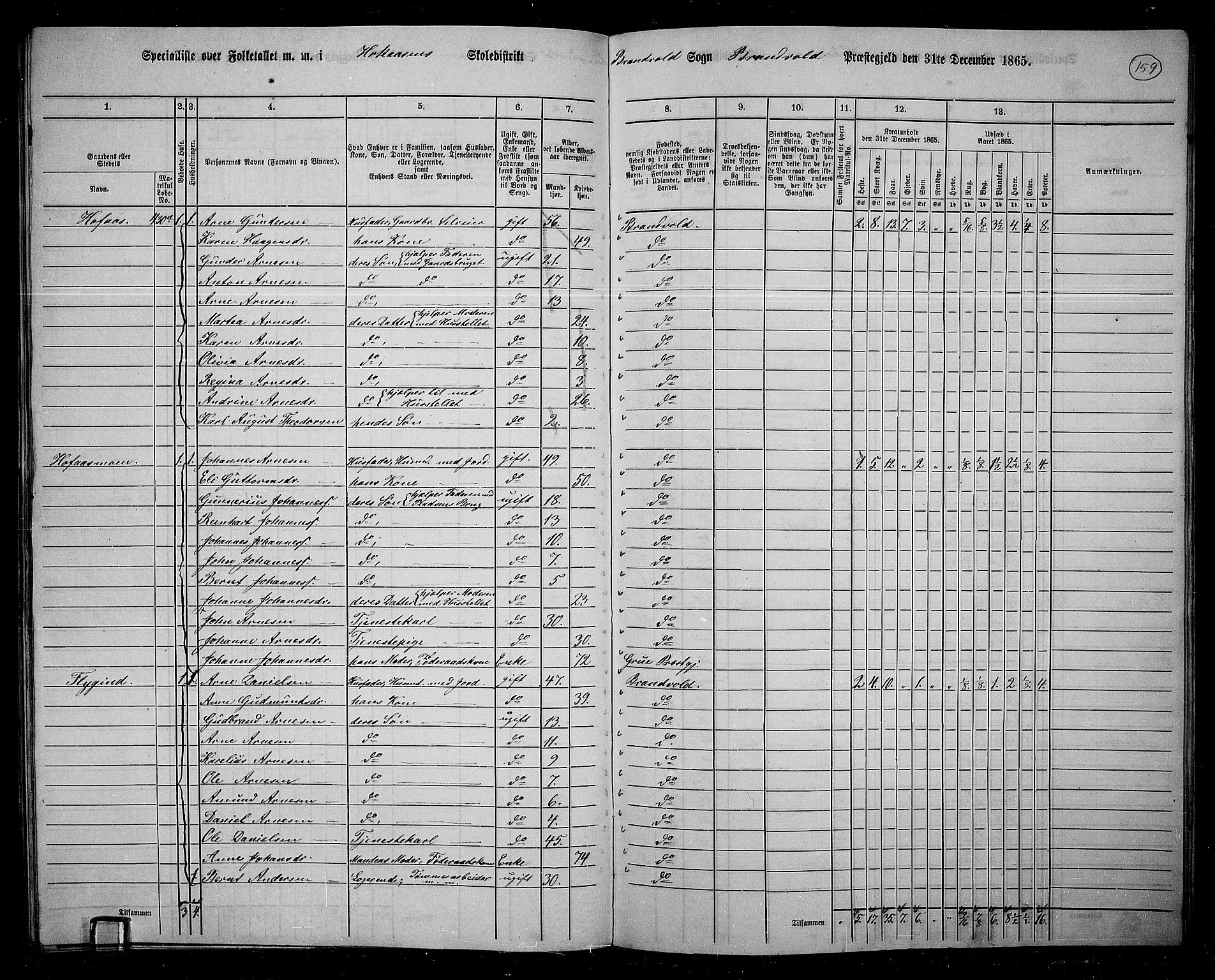 RA, 1865 census for Brandval, 1865, p. 136