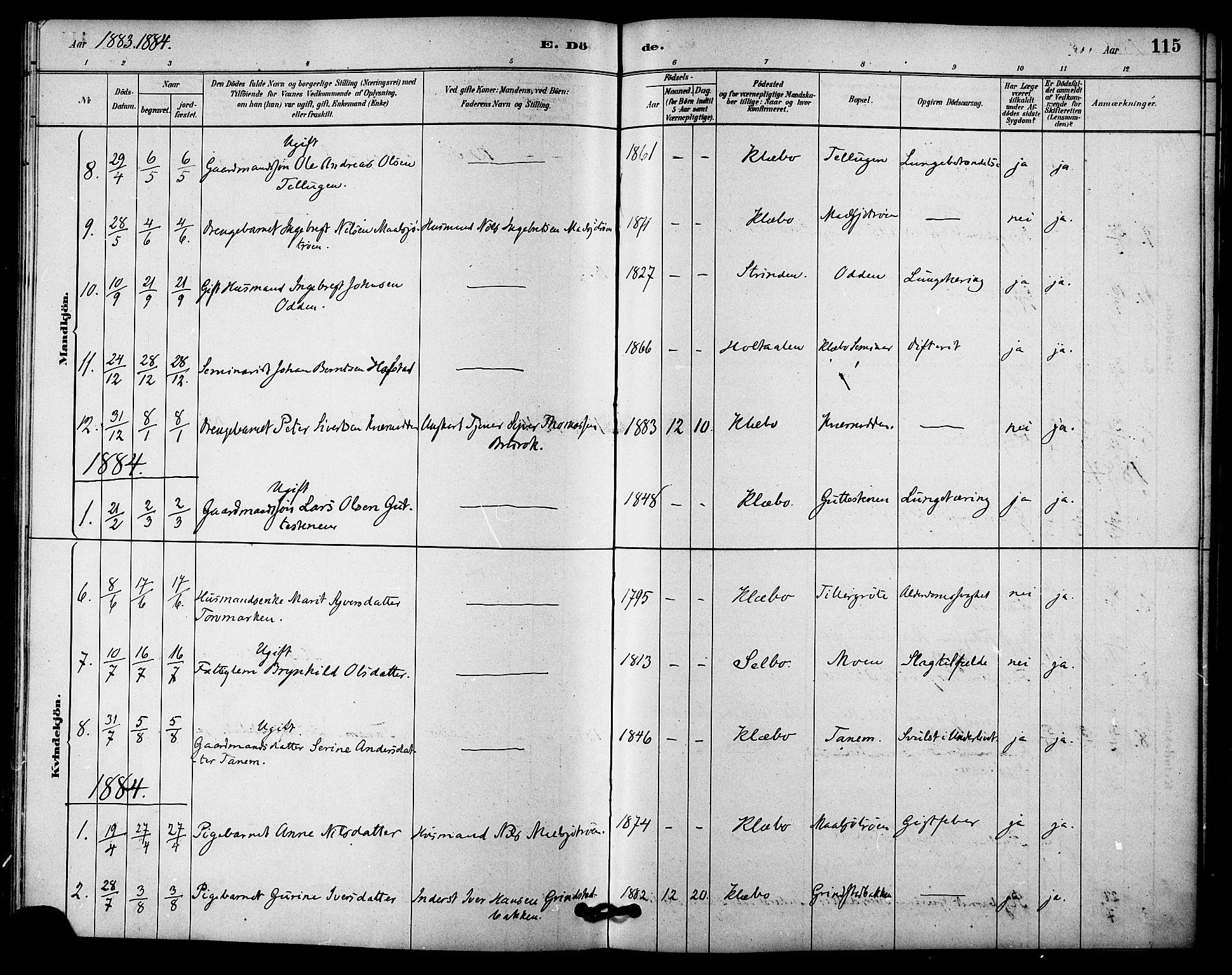 Ministerialprotokoller, klokkerbøker og fødselsregistre - Sør-Trøndelag, SAT/A-1456/618/L0444: Parish register (official) no. 618A07, 1880-1898, p. 115