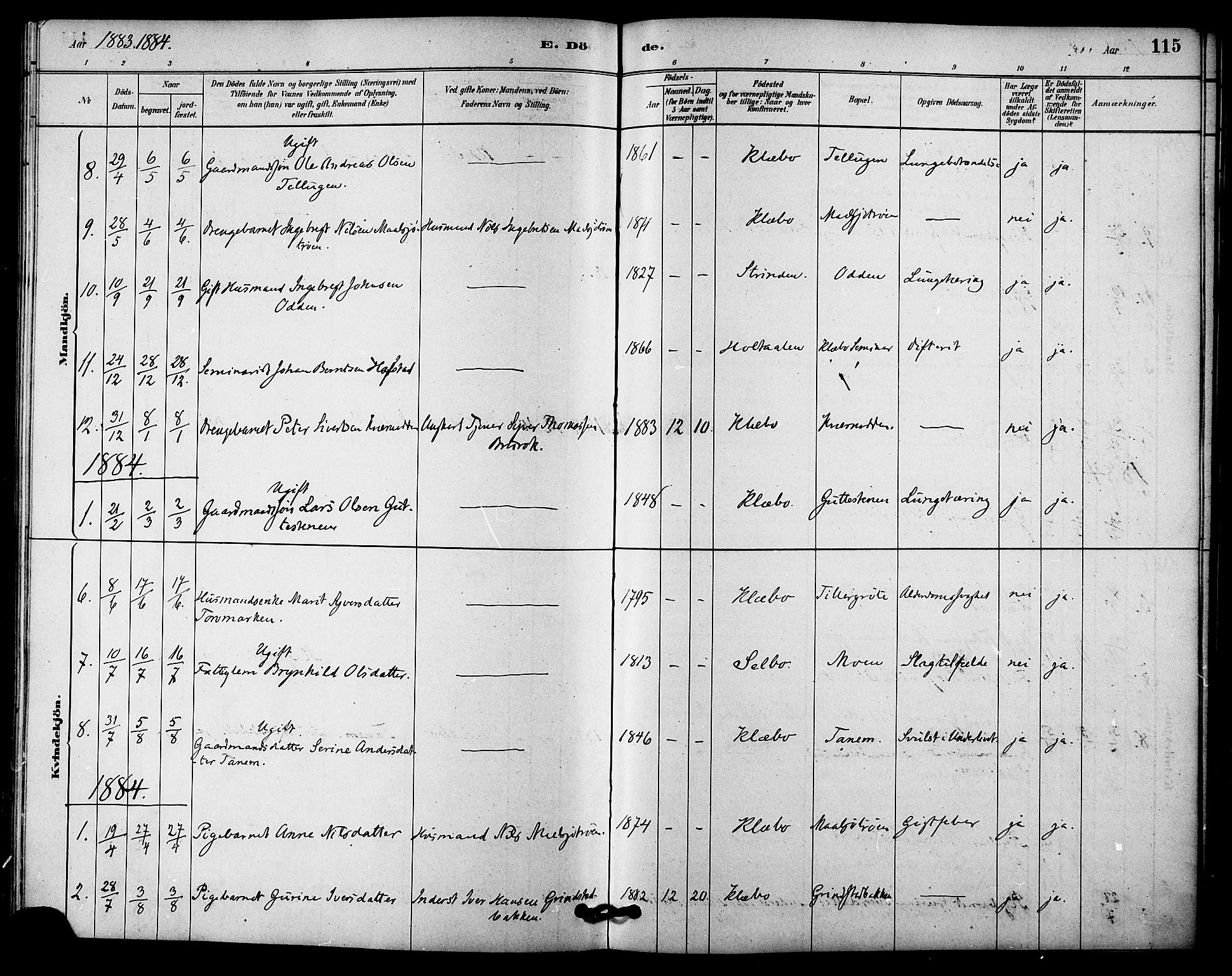 Ministerialprotokoller, klokkerbøker og fødselsregistre - Sør-Trøndelag, AV/SAT-A-1456/618/L0444: Parish register (official) no. 618A07, 1880-1898, p. 115