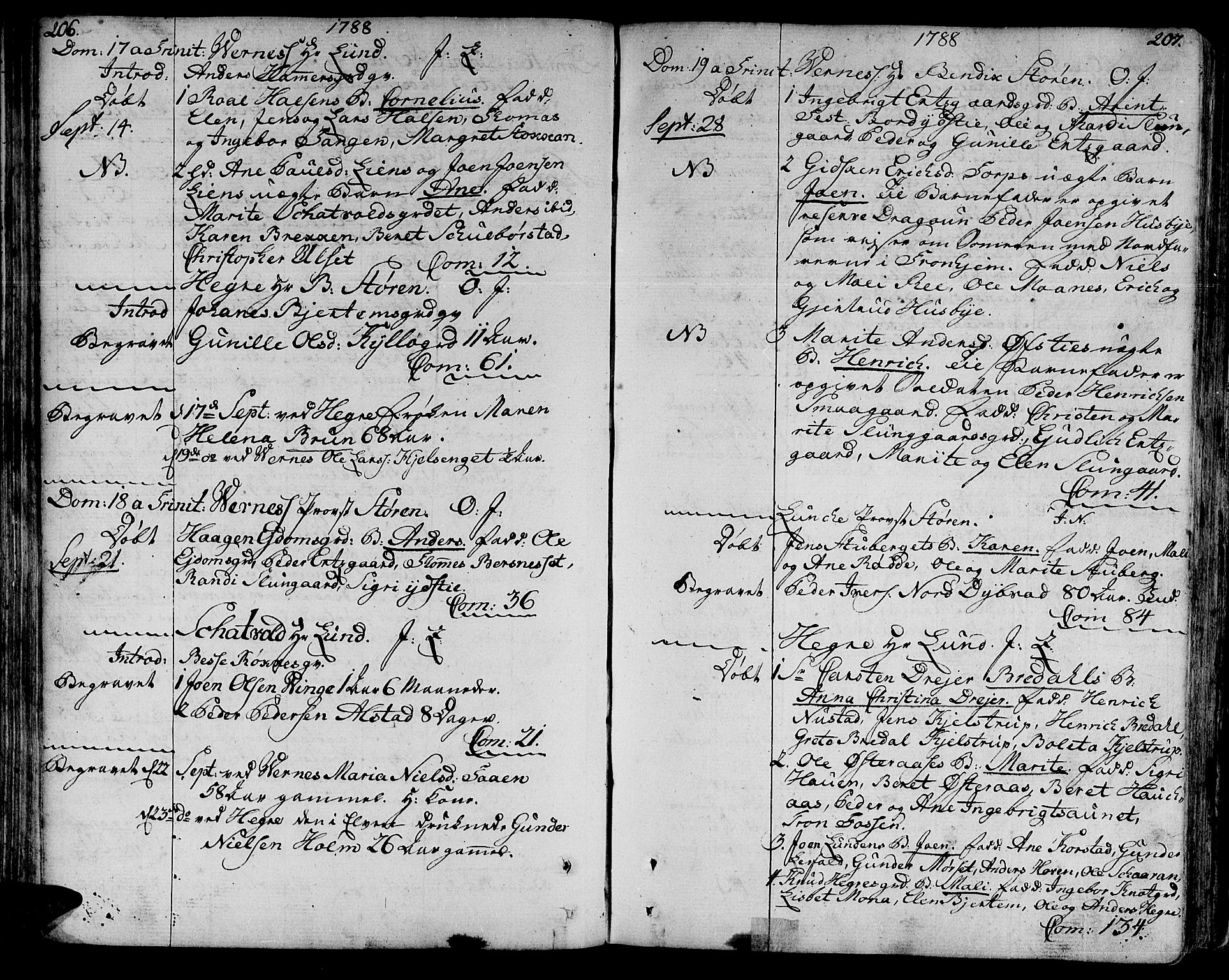 Ministerialprotokoller, klokkerbøker og fødselsregistre - Nord-Trøndelag, SAT/A-1458/709/L0059: Parish register (official) no. 709A06, 1781-1797, p. 206-207