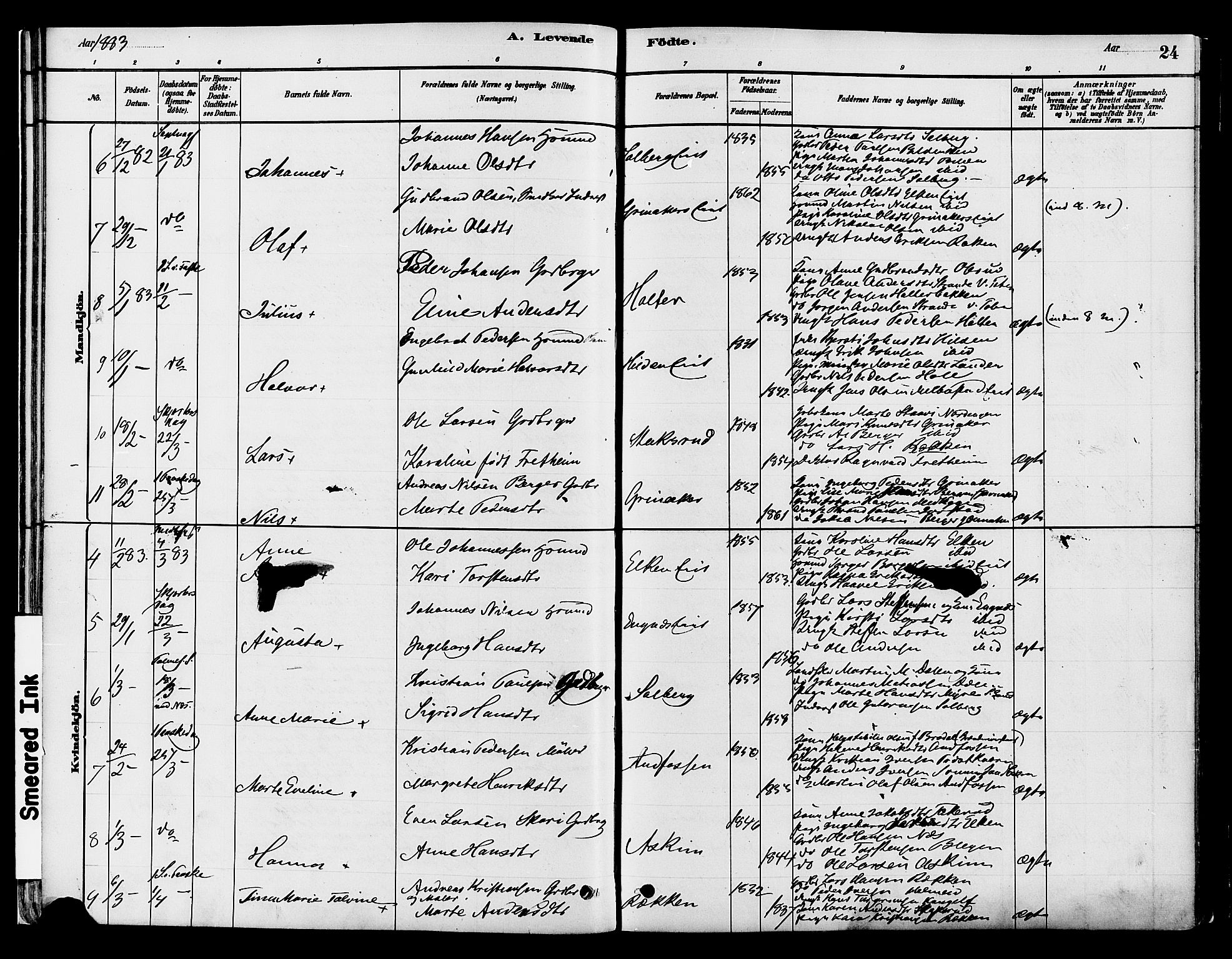 Gran prestekontor, SAH/PREST-112/H/Ha/Haa/L0016: Parish register (official) no. 16, 1880-1888, p. 24