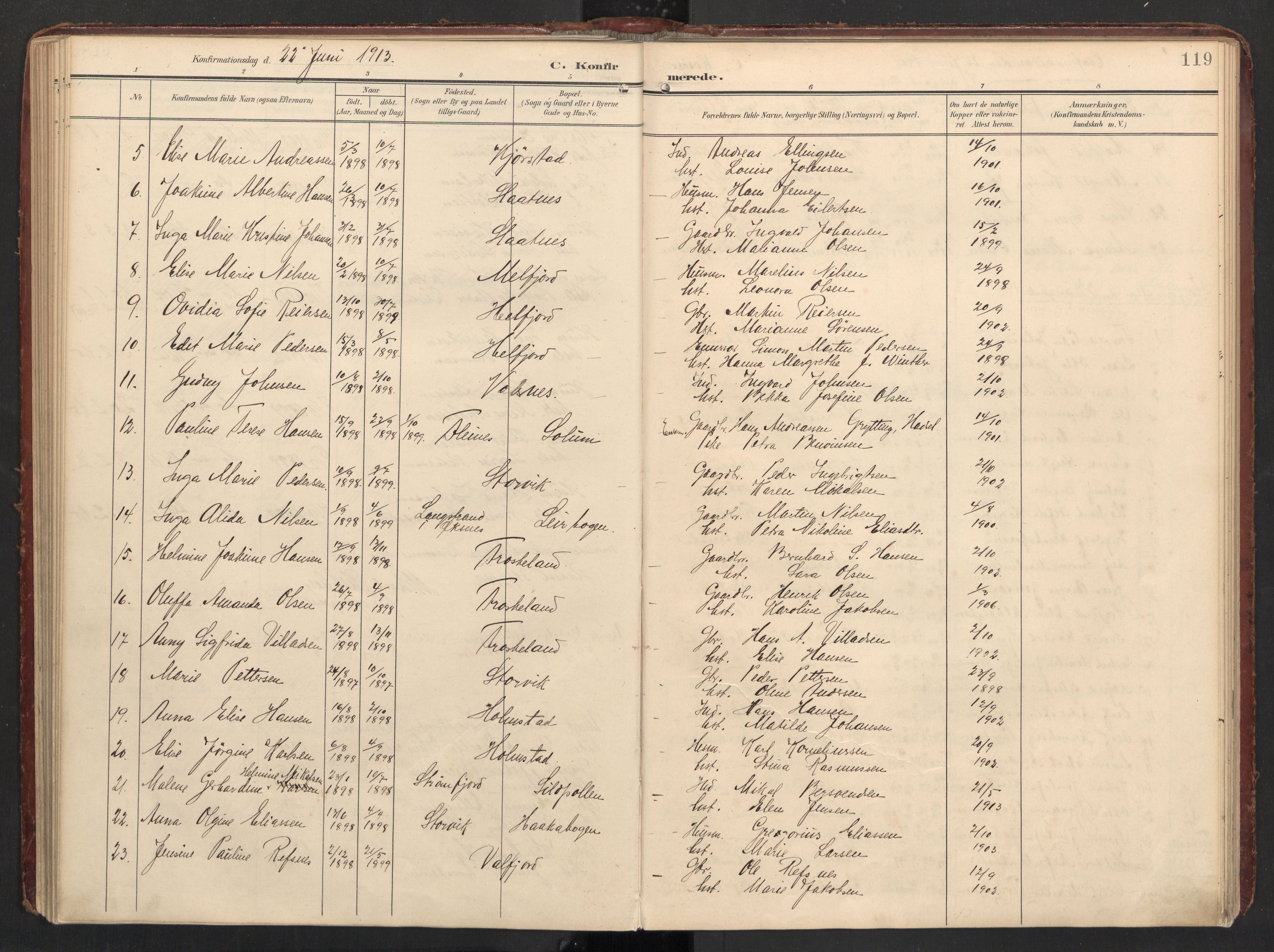 Ministerialprotokoller, klokkerbøker og fødselsregistre - Nordland, AV/SAT-A-1459/890/L1287: Parish register (official) no. 890A02, 1903-1915, p. 119