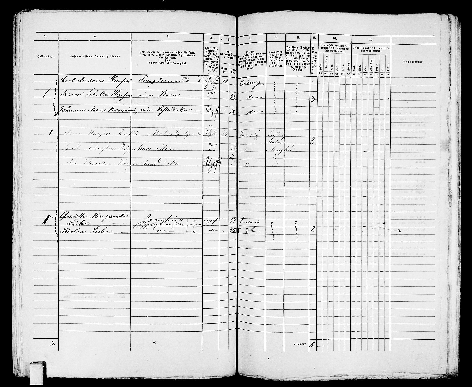 RA, 1865 census for Larvik, 1865, p. 915