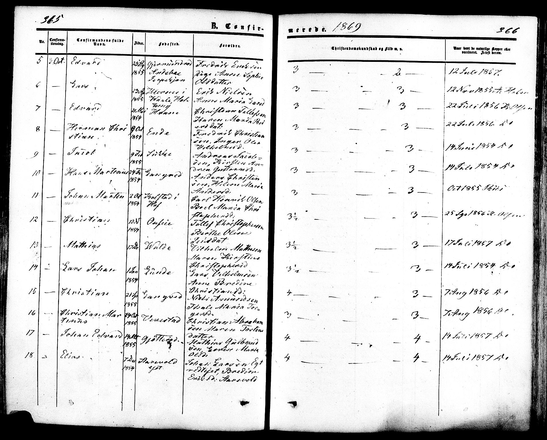 Ramnes kirkebøker, AV/SAKO-A-314/F/Fa/L0006: Parish register (official) no. I 6, 1862-1877, p. 365-366