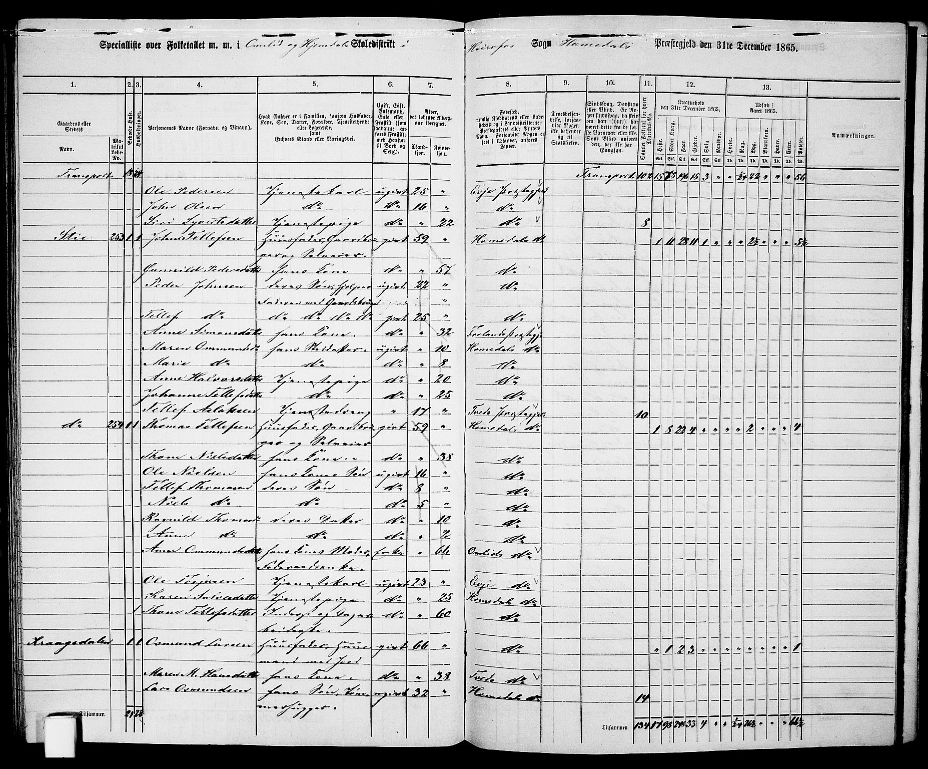 RA, 1865 census for Homedal, 1865, p. 157