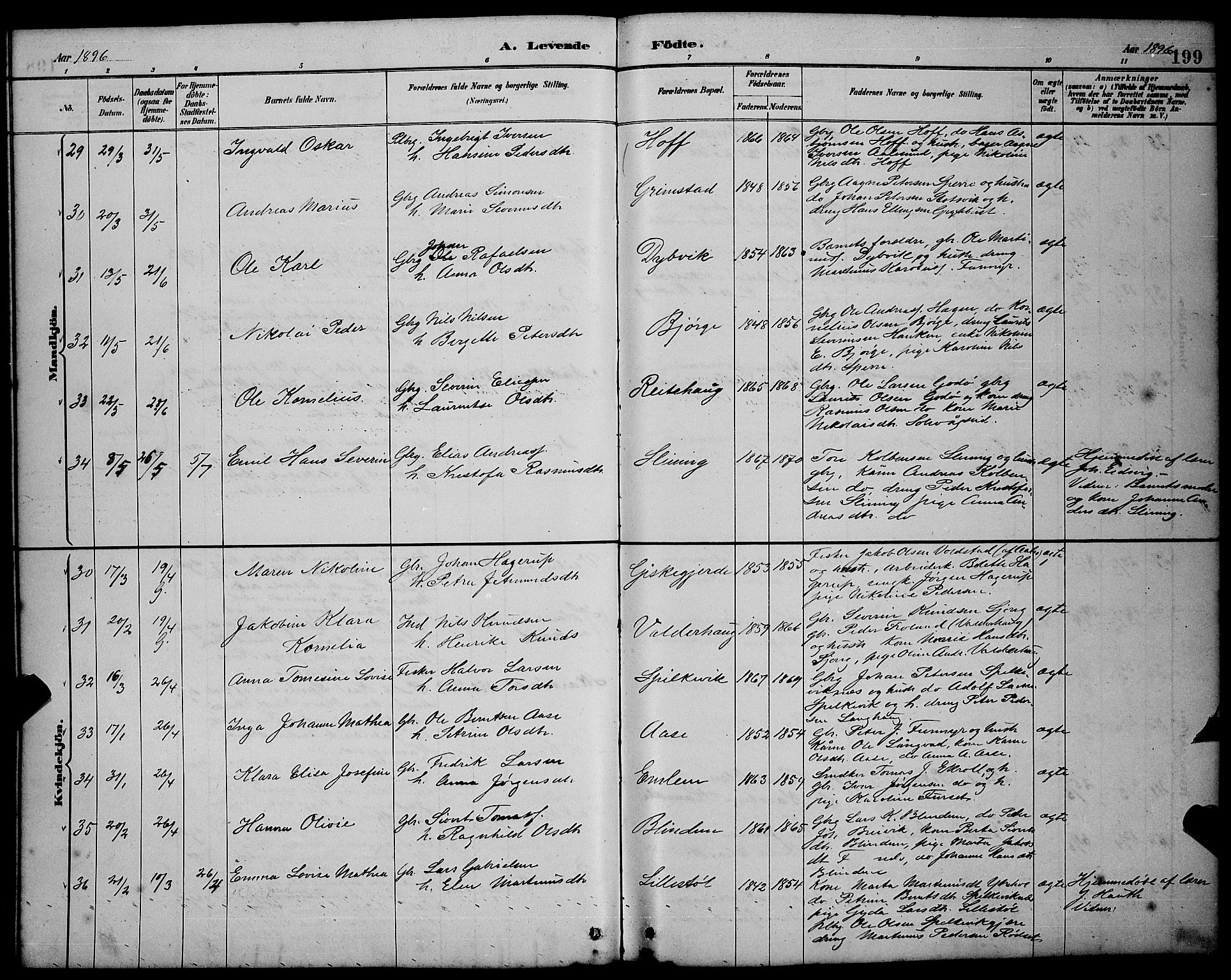 Ministerialprotokoller, klokkerbøker og fødselsregistre - Møre og Romsdal, AV/SAT-A-1454/528/L0431: Parish register (copy) no. 528C12, 1885-1898, p. 199