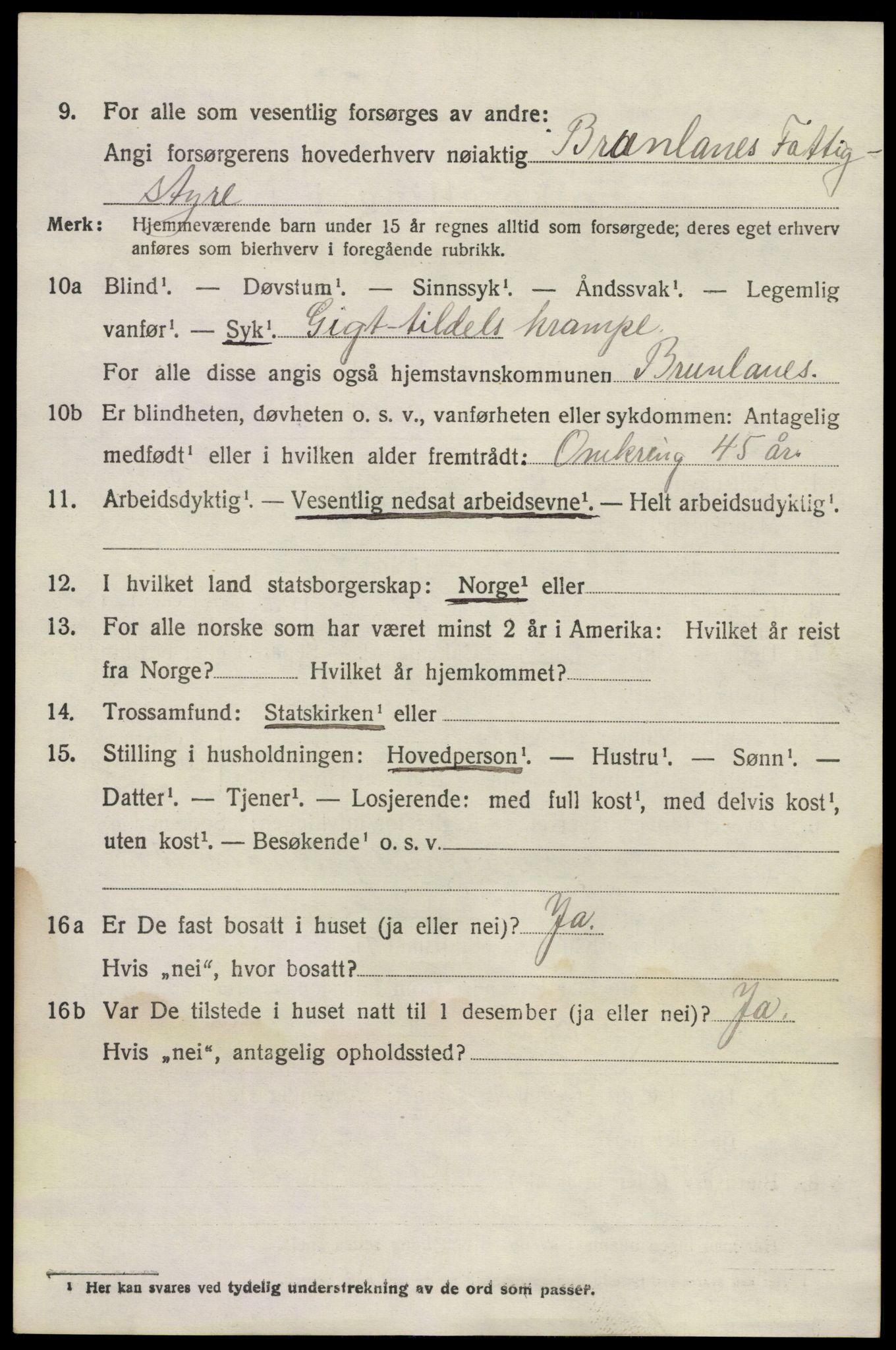 SAKO, 1920 census for Brunlanes, 1920, p. 3850