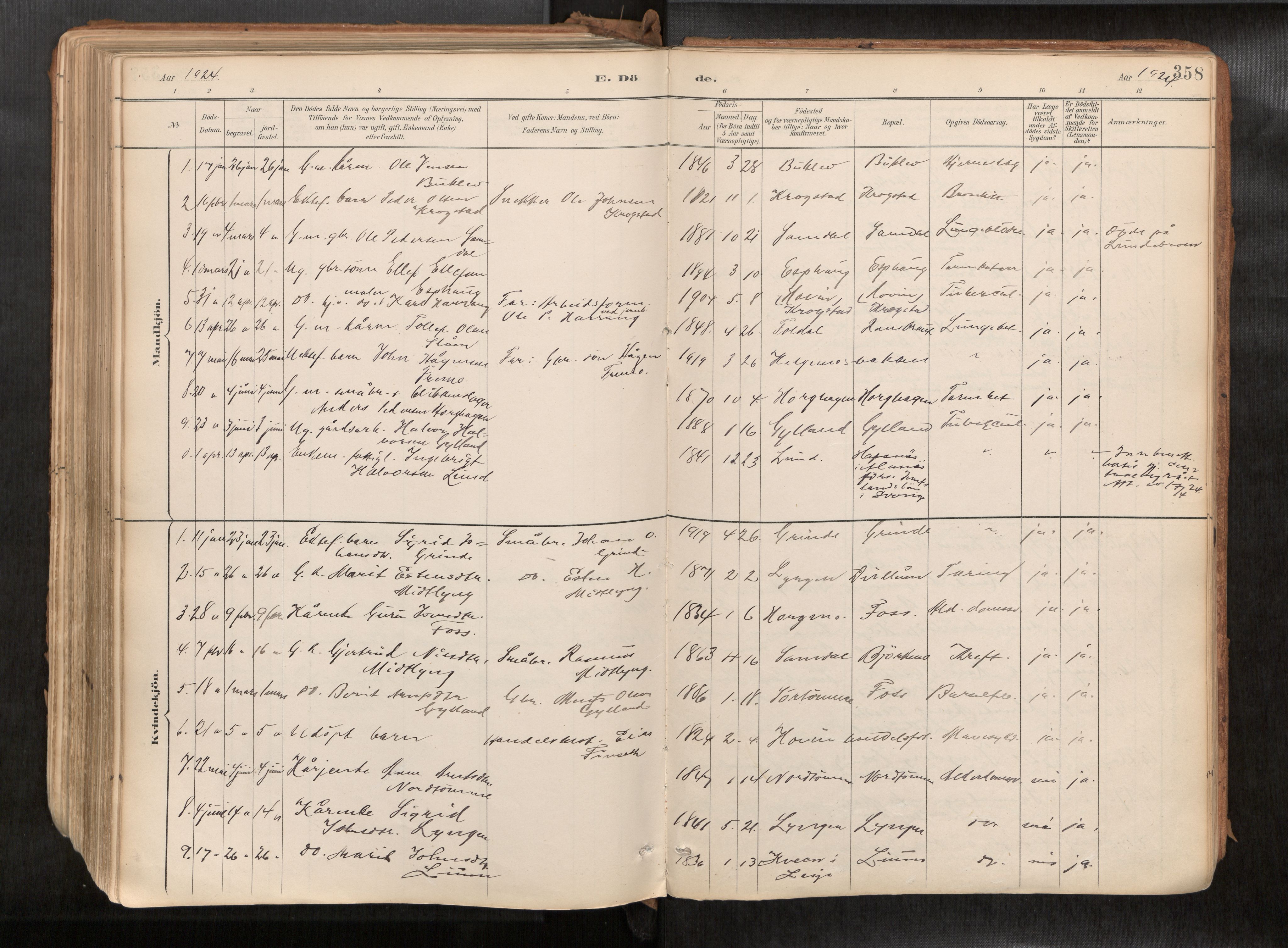 Ministerialprotokoller, klokkerbøker og fødselsregistre - Sør-Trøndelag, SAT/A-1456/692/L1105b: Parish register (official) no. 692A06, 1891-1934, p. 358