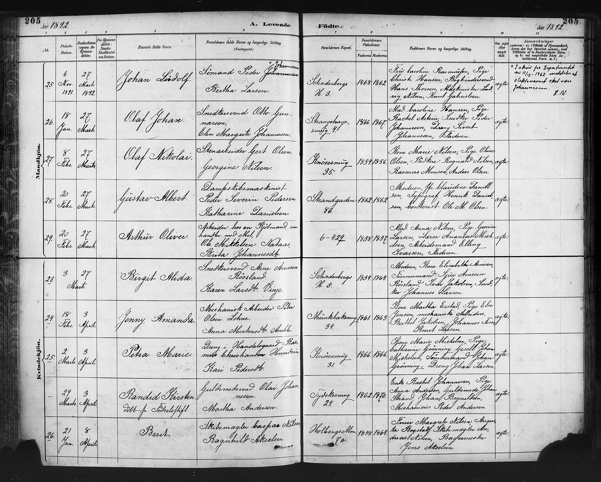Nykirken Sokneprestembete, SAB/A-77101/H/Haa: Parish register (official) no. B 5, 1885-1894, p. 205