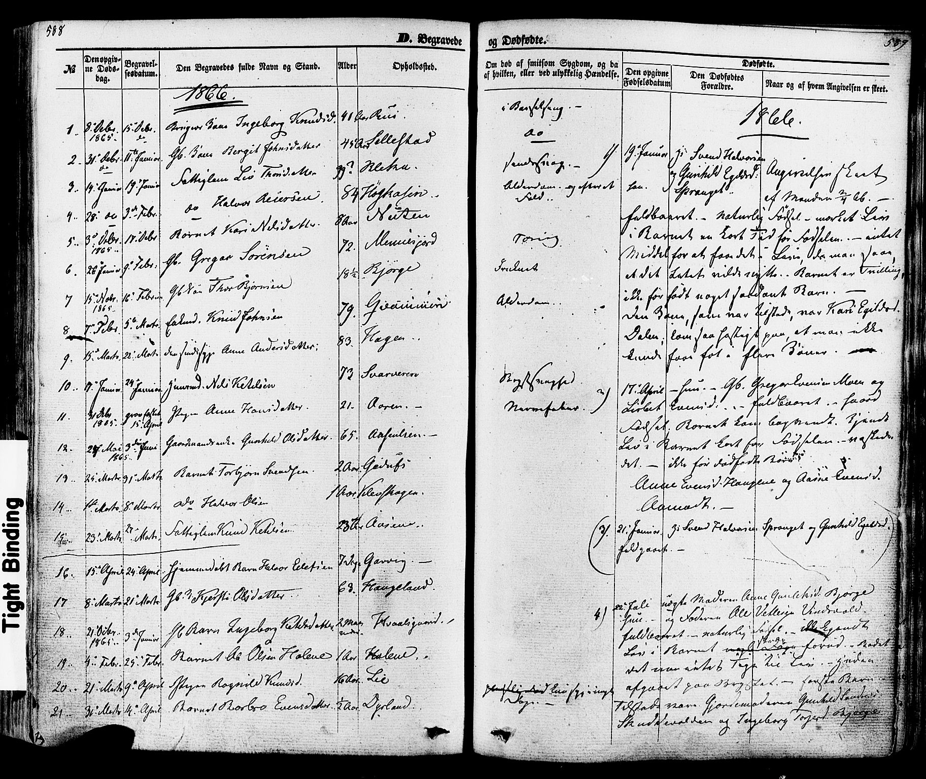 Seljord kirkebøker, SAKO/A-20/F/Fa/L0013: Parish register (official) no. I 13, 1866-1876, p. 588-589