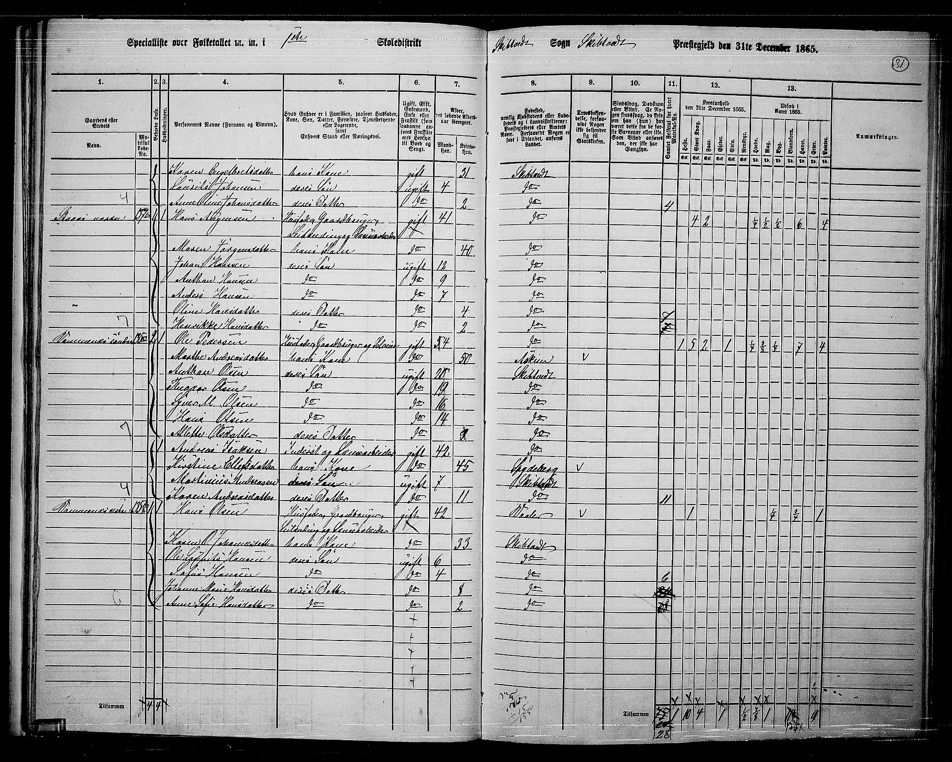 RA, 1865 census for Skiptvet, 1865, p. 30