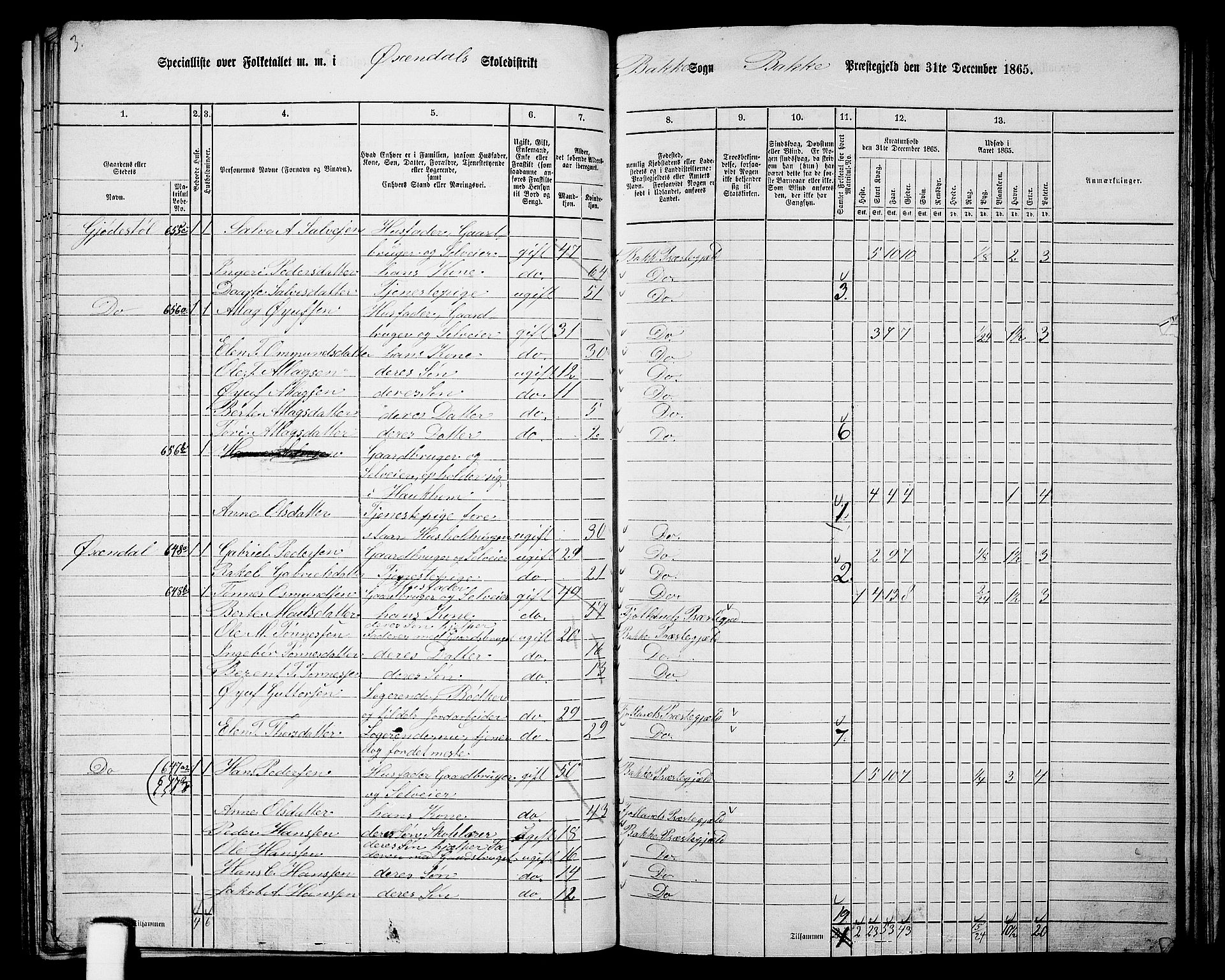 RA, 1865 census for Bakke, 1865, p. 64