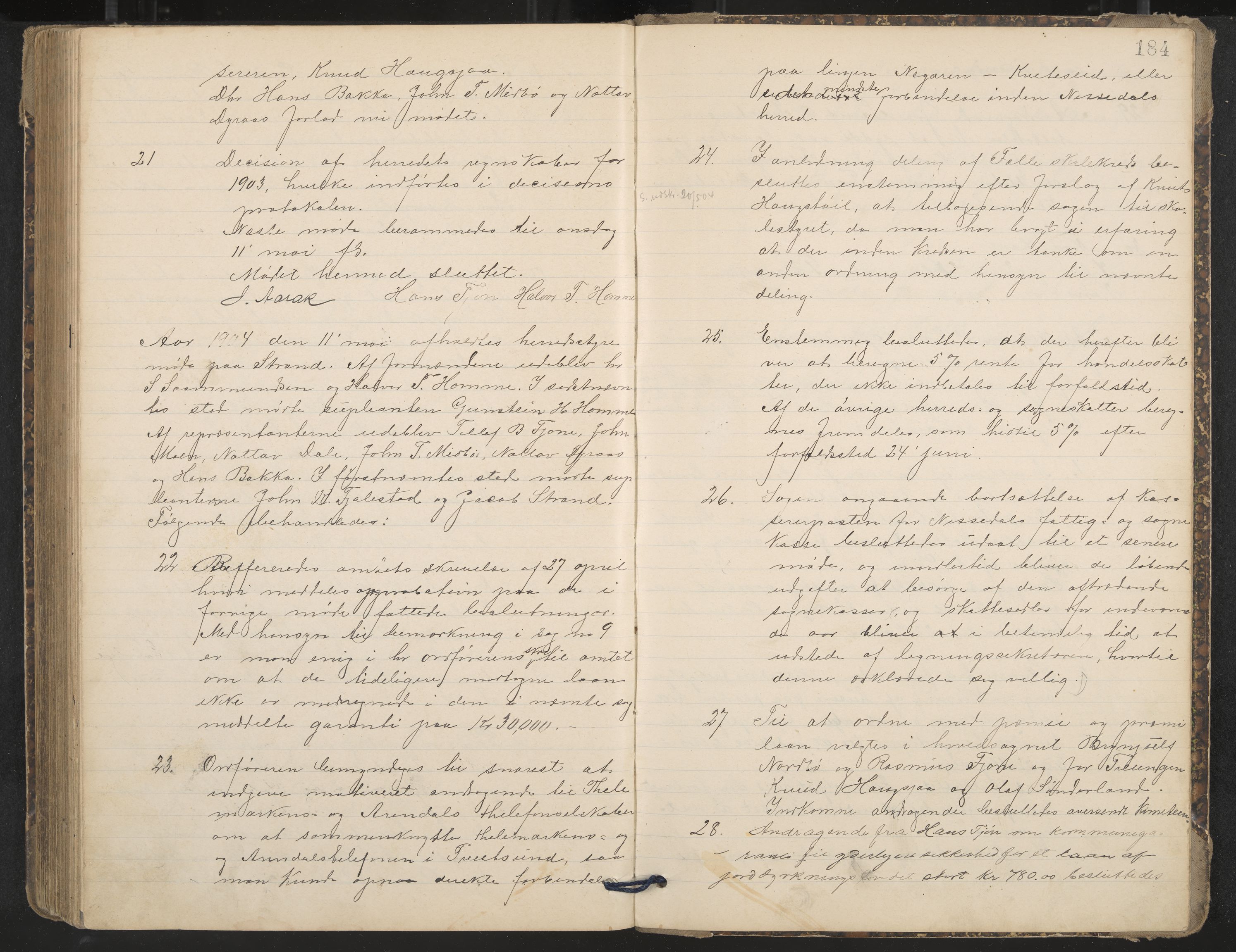 Nissedal formannskap og sentraladministrasjon, IKAK/0830021-1/A/L0003: Møtebok, 1892-1904, p. 184