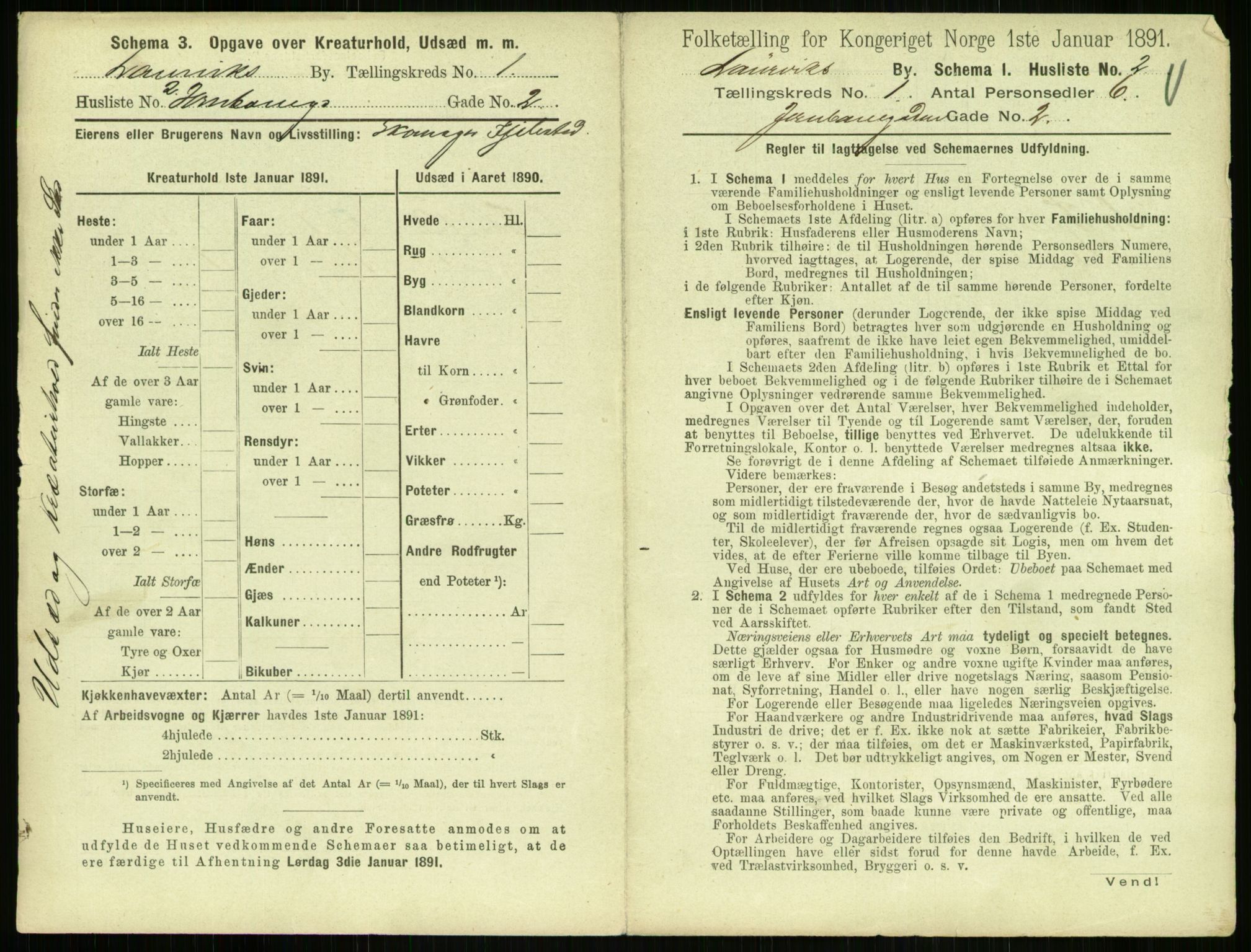RA, 1891 census for 0707 Larvik, 1891, p. 47