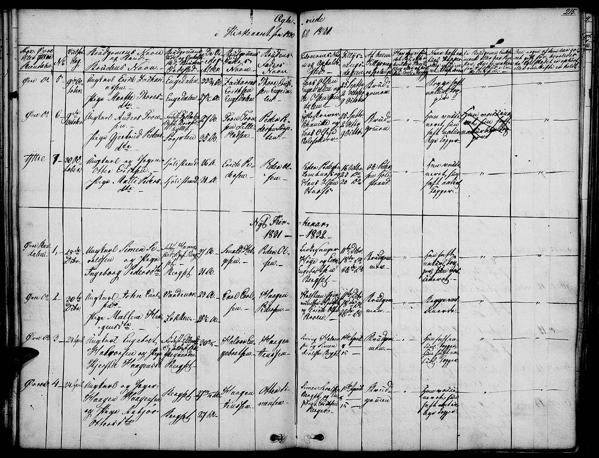 Rendalen prestekontor, SAH/PREST-054/H/Ha/Haa/L0004: Parish register (official) no. 4, 1829-1852, p. 215