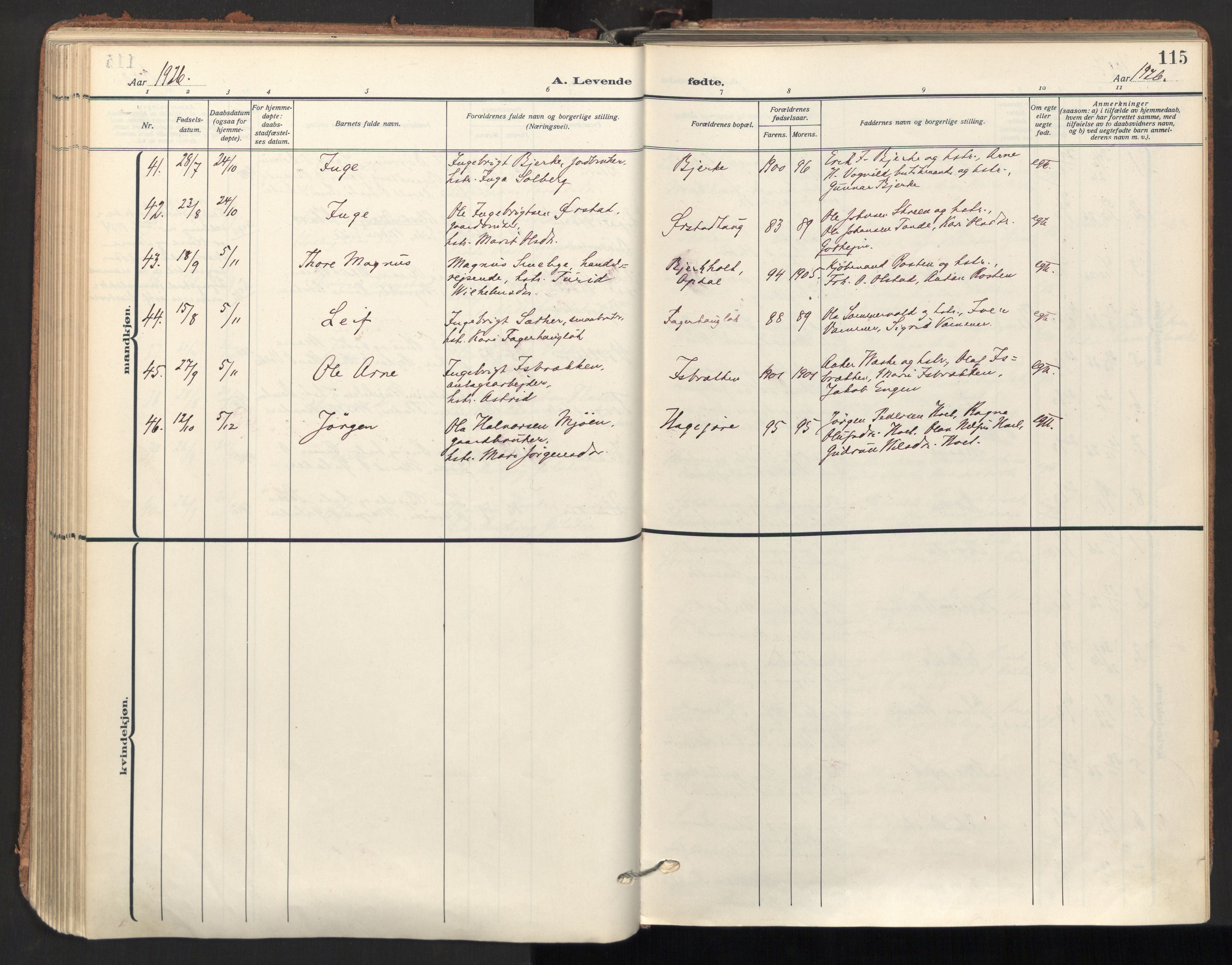 Ministerialprotokoller, klokkerbøker og fødselsregistre - Sør-Trøndelag, AV/SAT-A-1456/678/L0909: Parish register (official) no. 678A17, 1912-1930, p. 115