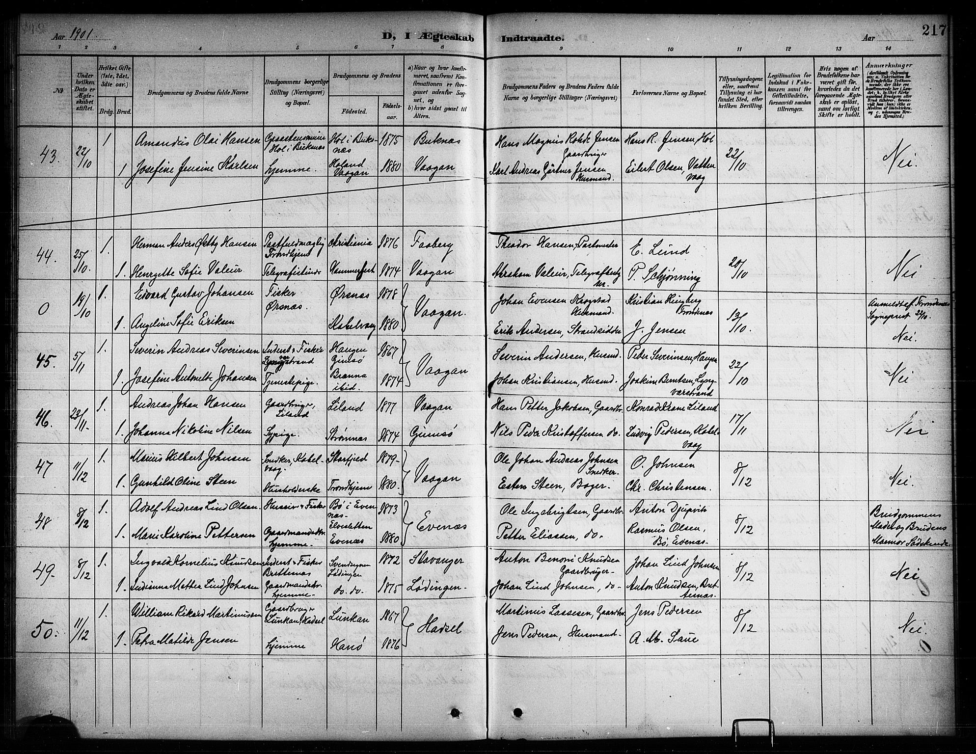 Ministerialprotokoller, klokkerbøker og fødselsregistre - Nordland, AV/SAT-A-1459/874/L1078: Parish register (copy) no. 874C07, 1900-1907, p. 217