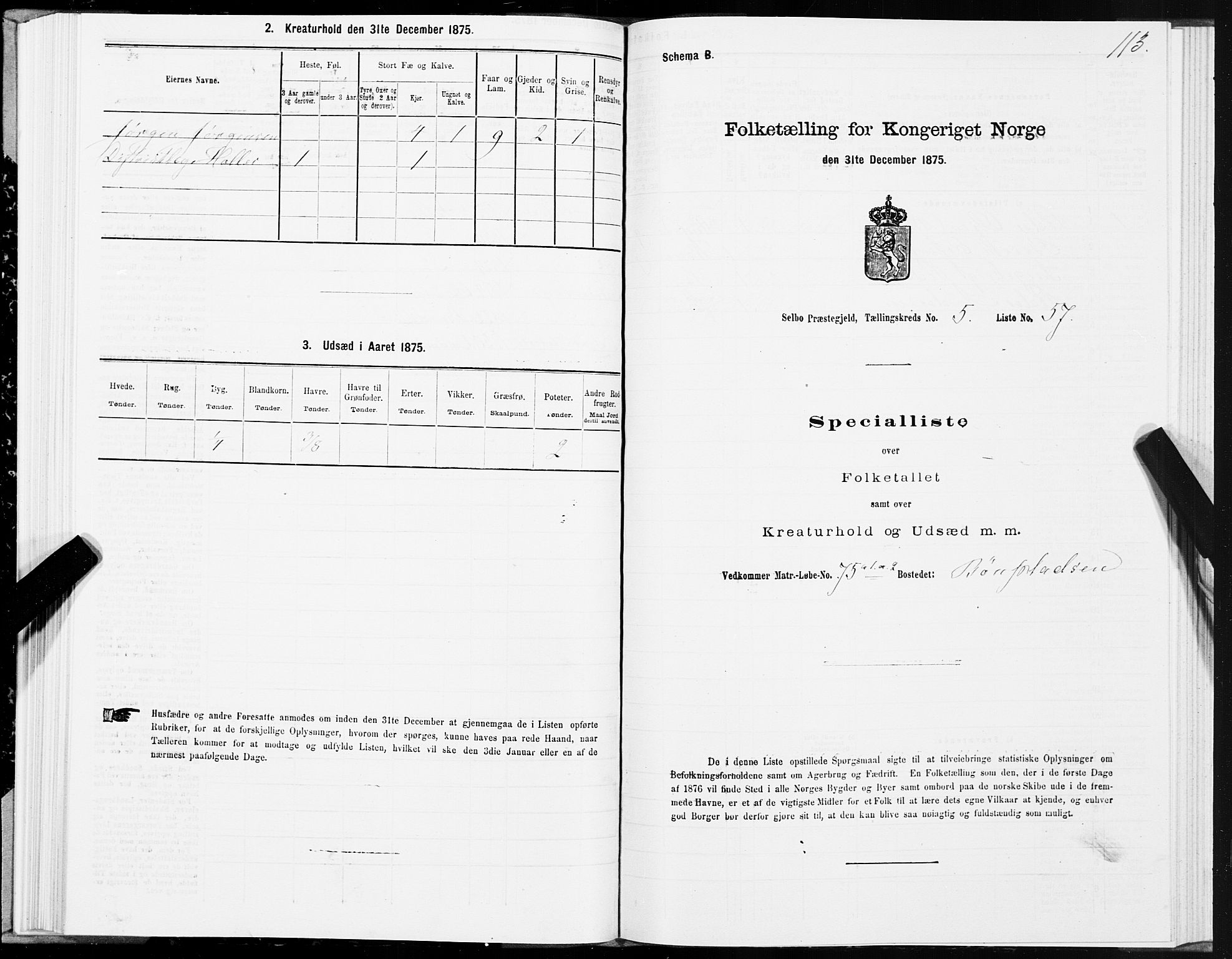 SAT, 1875 census for 1664P Selbu, 1875, p. 3113