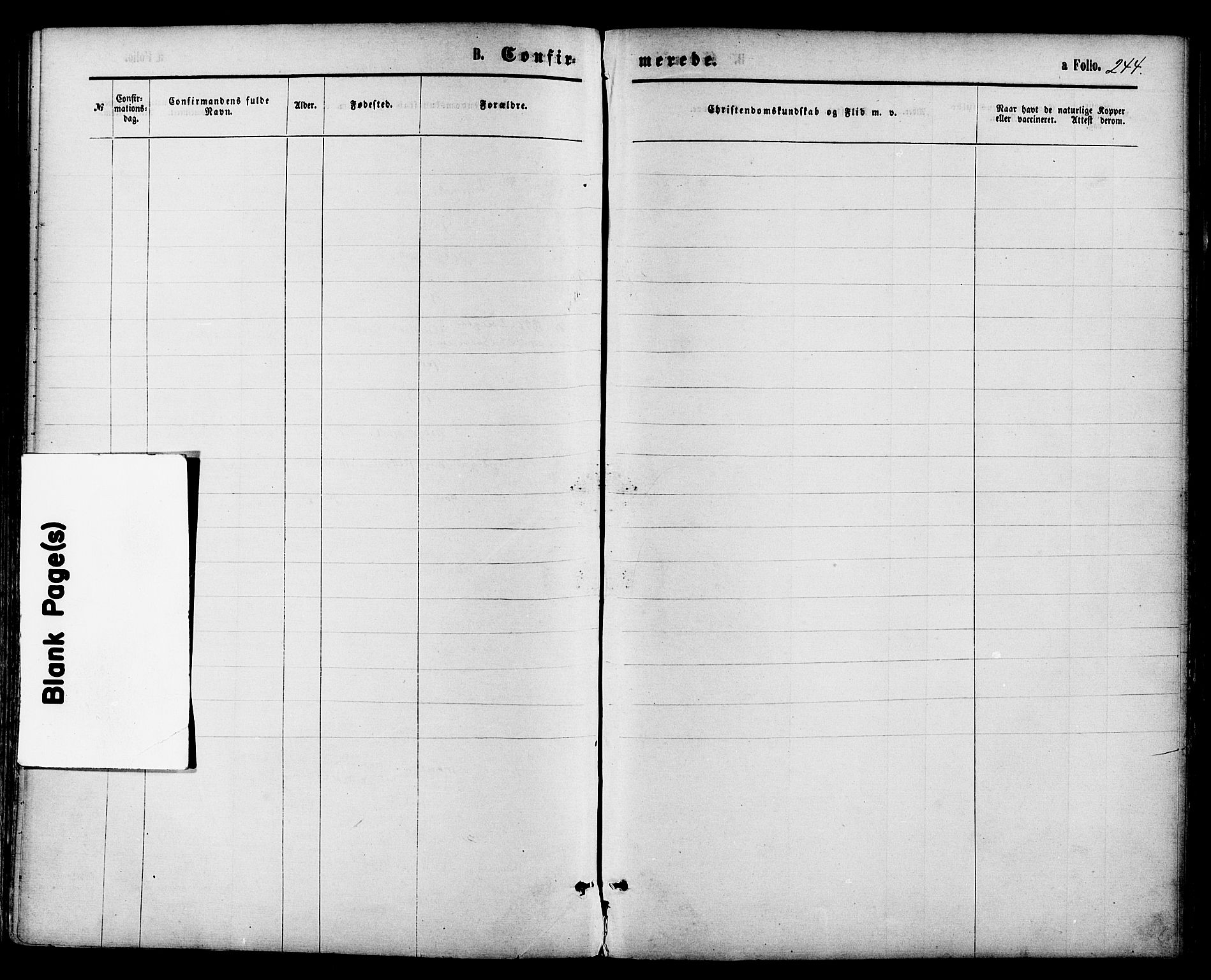 Holt sokneprestkontor, AV/SAK-1111-0021/F/Fa/L0010: Parish register (official) no. A 10, 1872-1885, p. 244