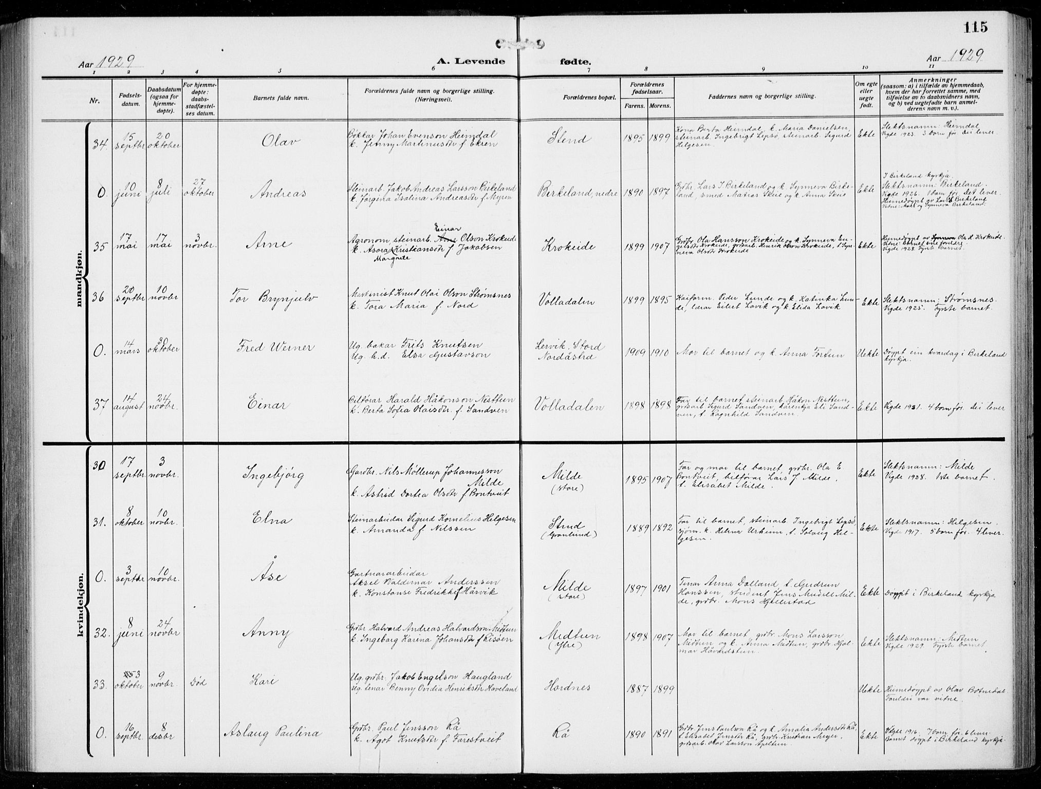 Fana Sokneprestembete, AV/SAB-A-75101/H/Hab/Haba/L0005: Parish register (copy) no. A 5, 1911-1932, p. 115