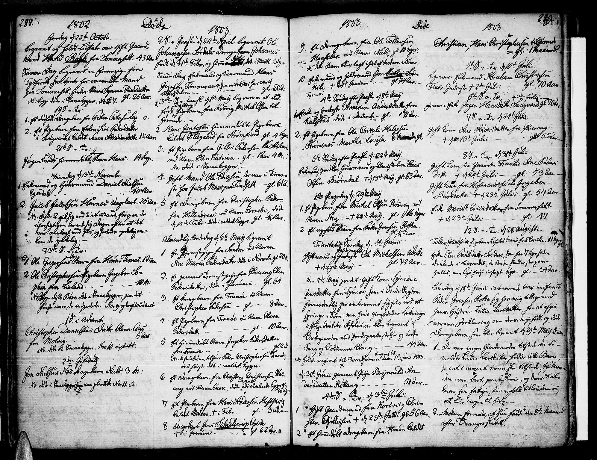 Ministerialprotokoller, klokkerbøker og fødselsregistre - Nordland, AV/SAT-A-1459/859/L0841: Parish register (official) no. 859A01, 1766-1821, p. 288-289