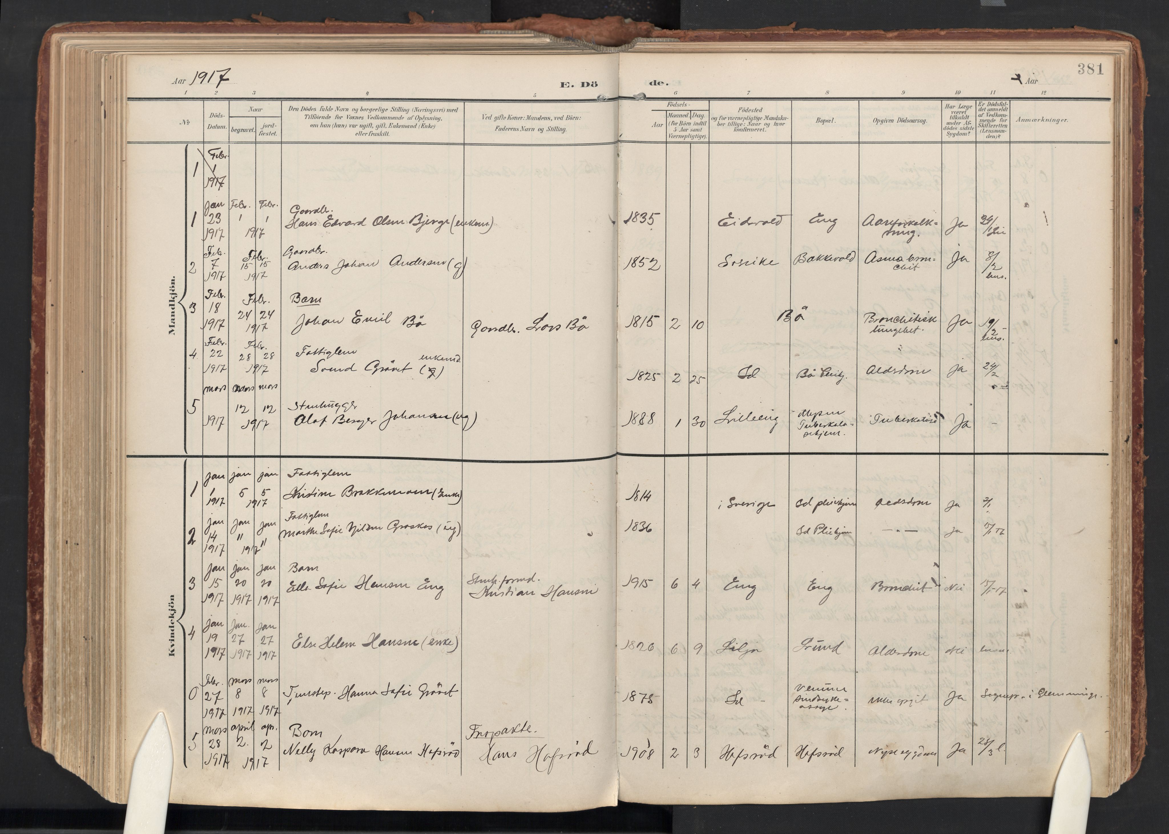 Idd prestekontor Kirkebøker, AV/SAO-A-10911/F/Fc/L0007: Parish register (official) no. III 7, 1904-1925, p. 381