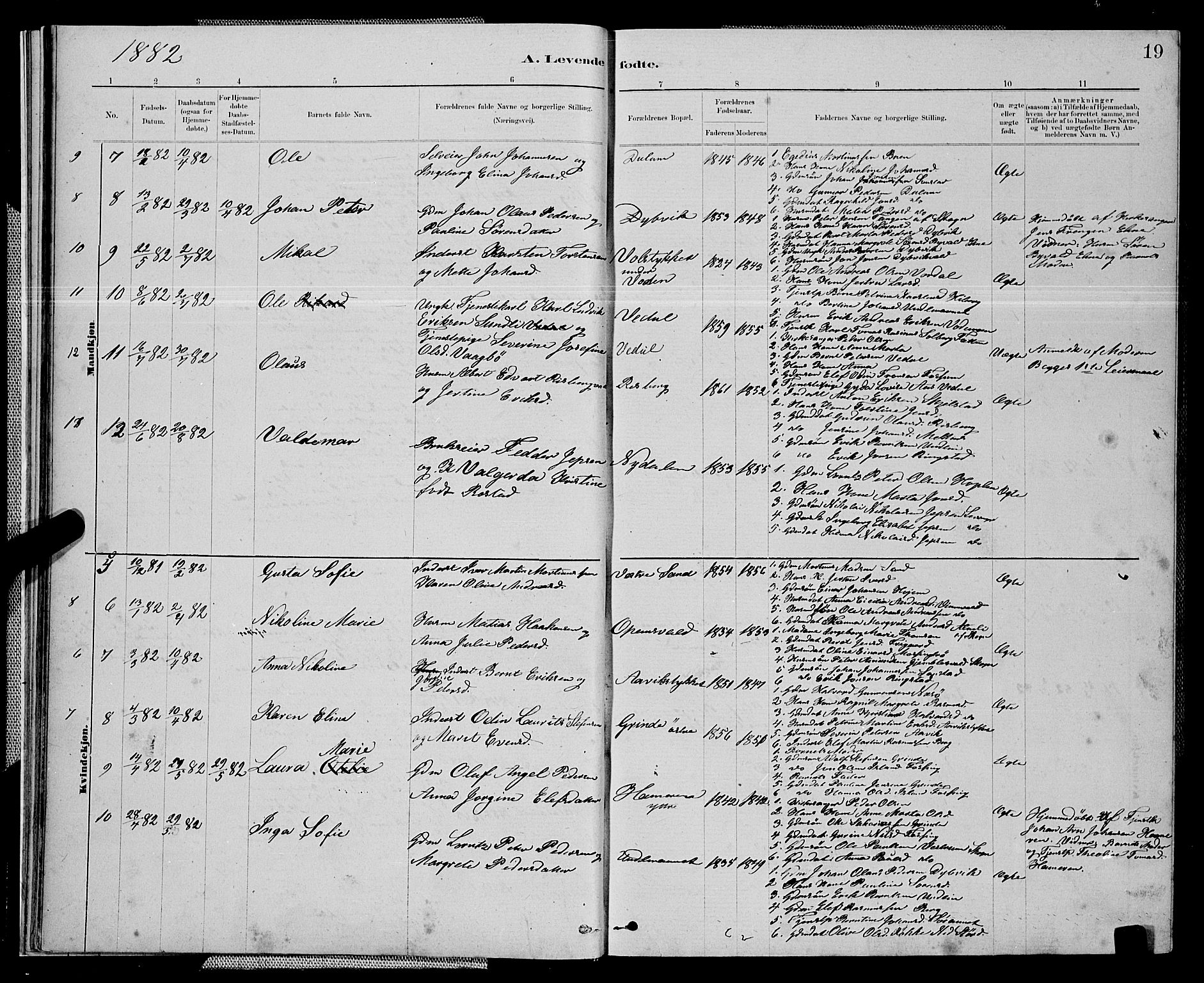 Ministerialprotokoller, klokkerbøker og fødselsregistre - Nord-Trøndelag, AV/SAT-A-1458/714/L0134: Parish register (copy) no. 714C03, 1878-1898, p. 19