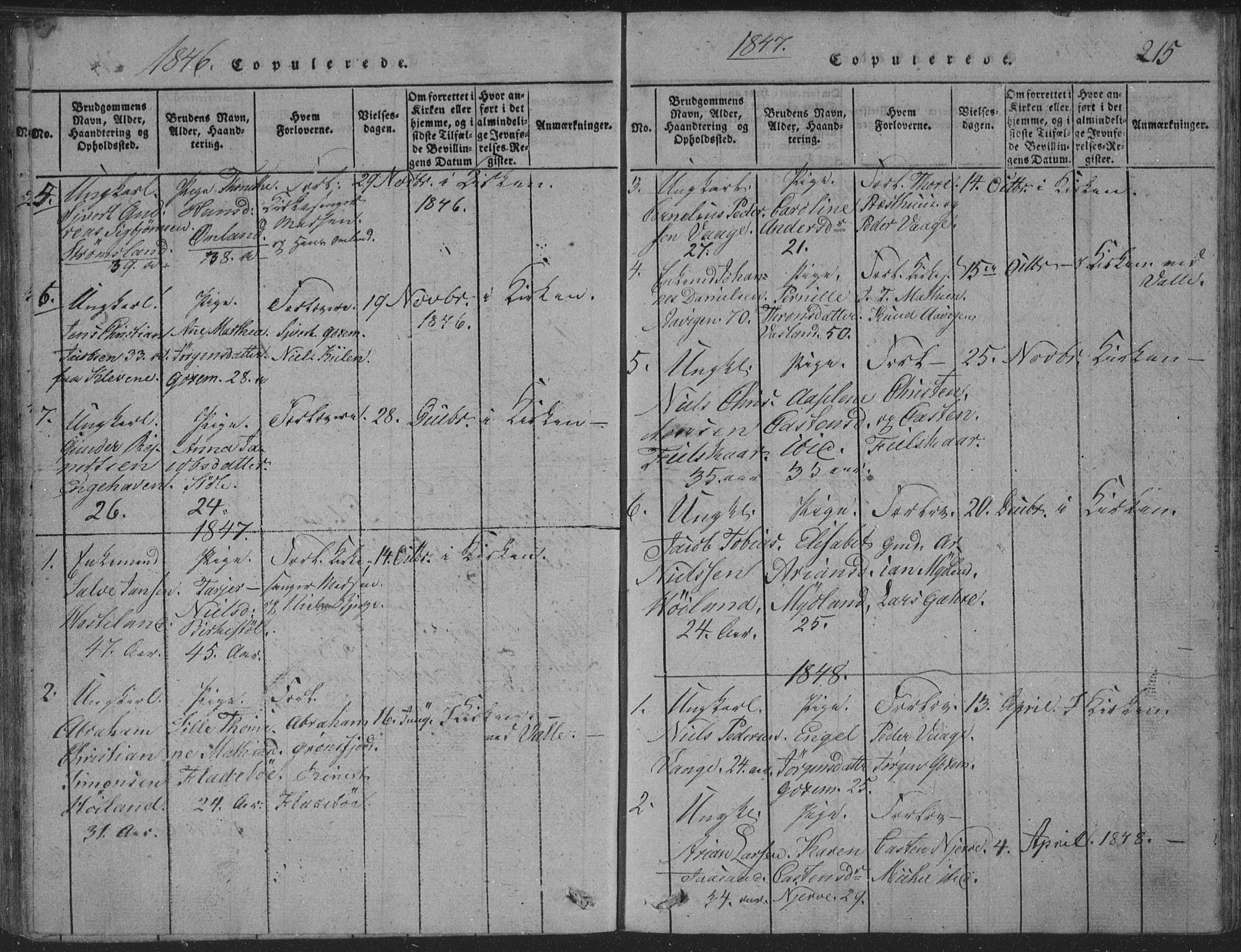 Sør-Audnedal sokneprestkontor, SAK/1111-0039/F/Fb/Fba/L0001: Parish register (copy) no. B 1, 1815-1850, p. 215
