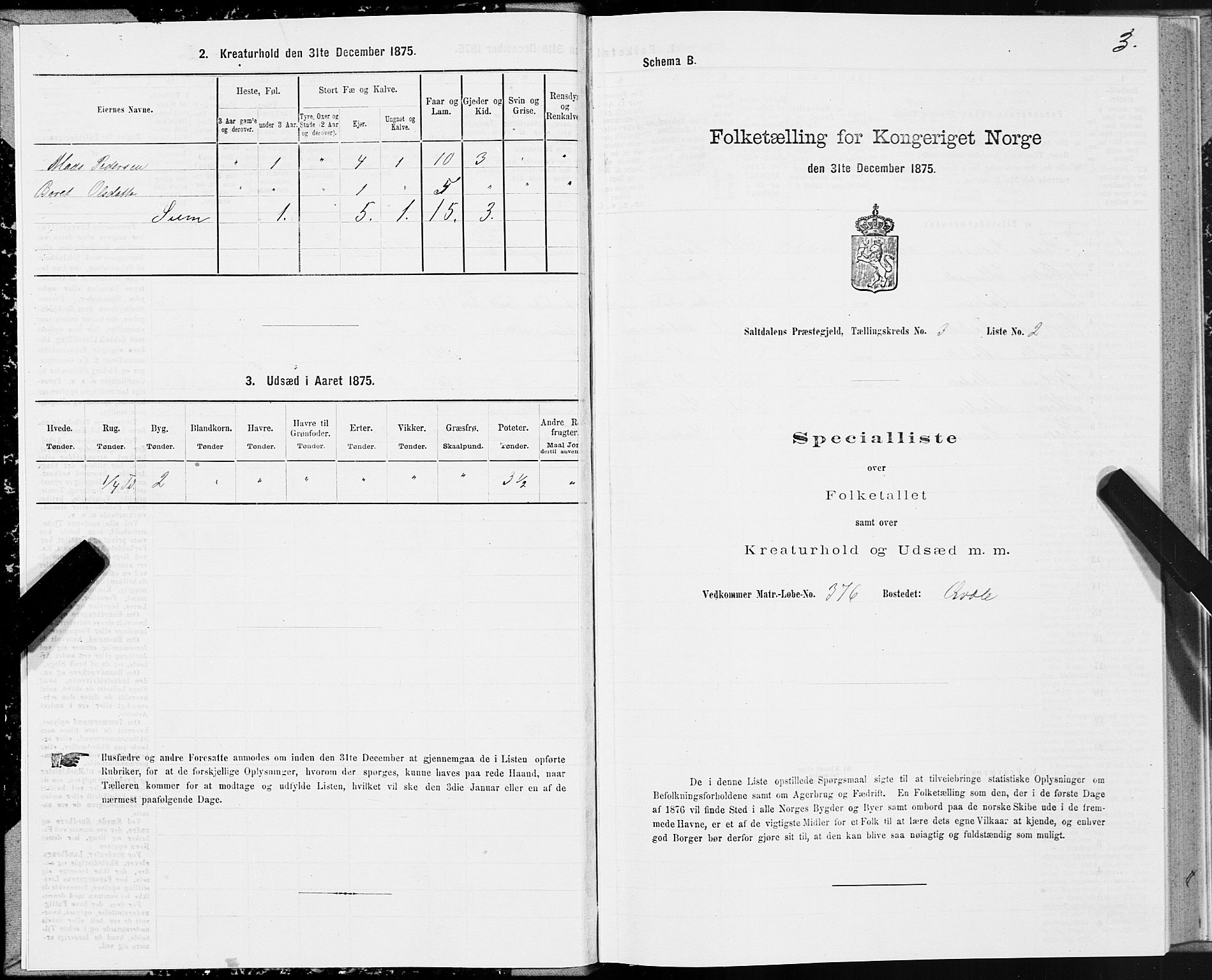 SAT, 1875 census for 1840P Saltdal, 1875, p. 2003
