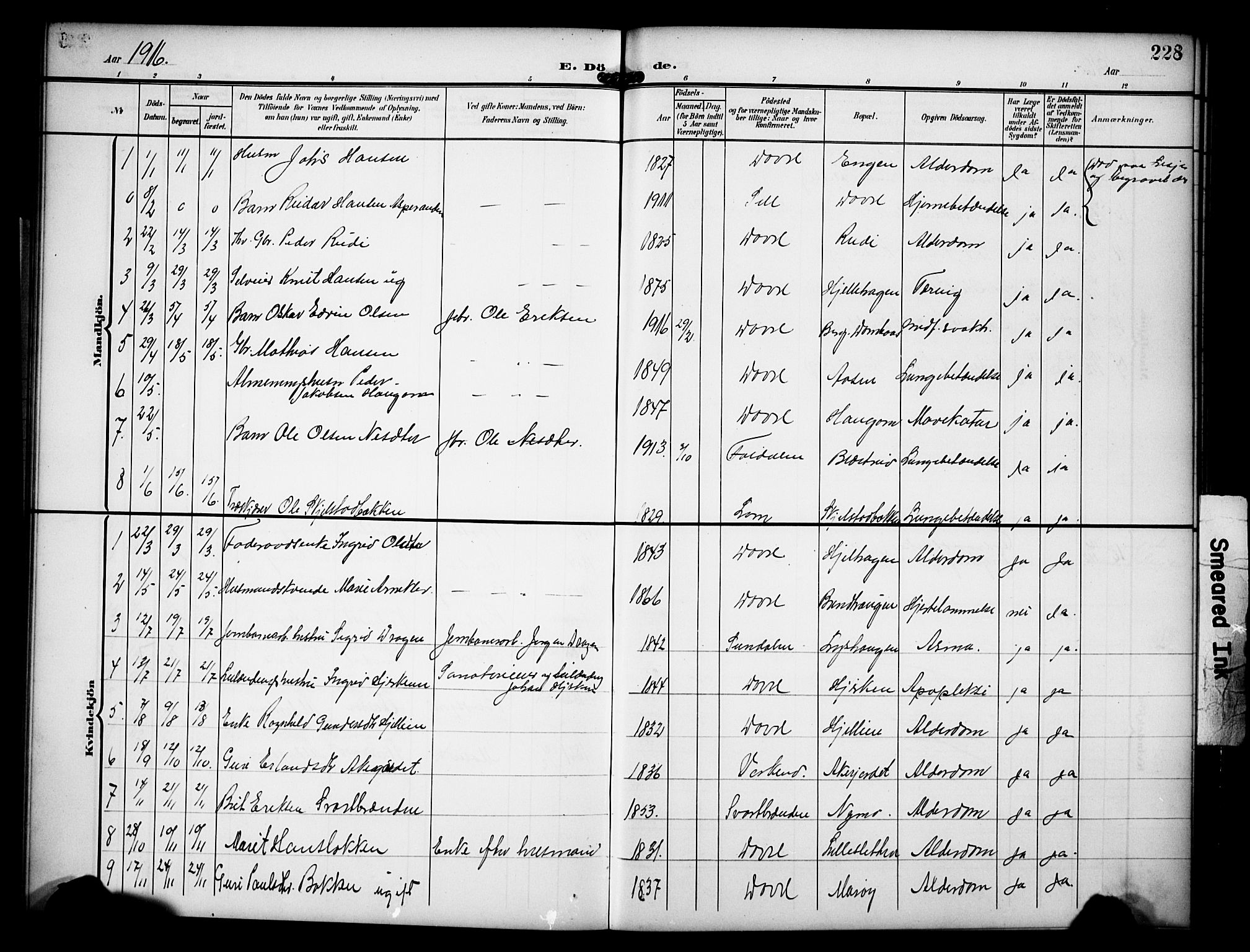Dovre prestekontor, AV/SAH-PREST-066/H/Ha/Hab/L0003: Parish register (copy) no. 3, 1907-1929, p. 228