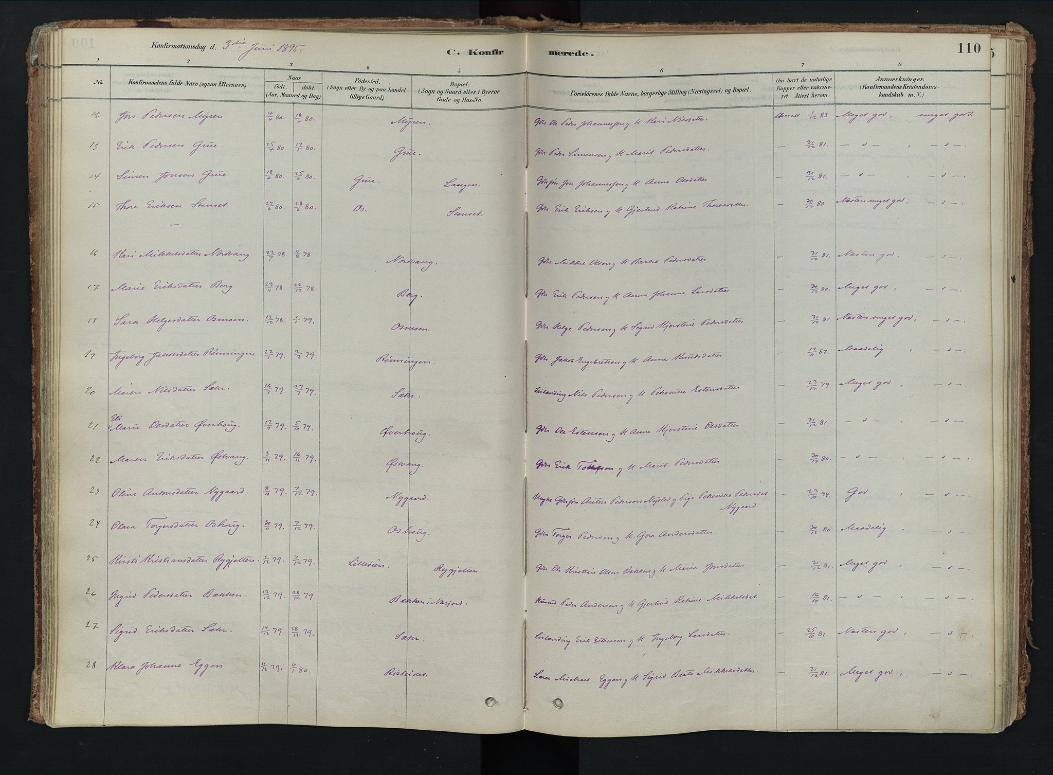 Tolga prestekontor, SAH/PREST-062/K/L0008: Parish register (official) no. 8, 1877-1910, p. 110