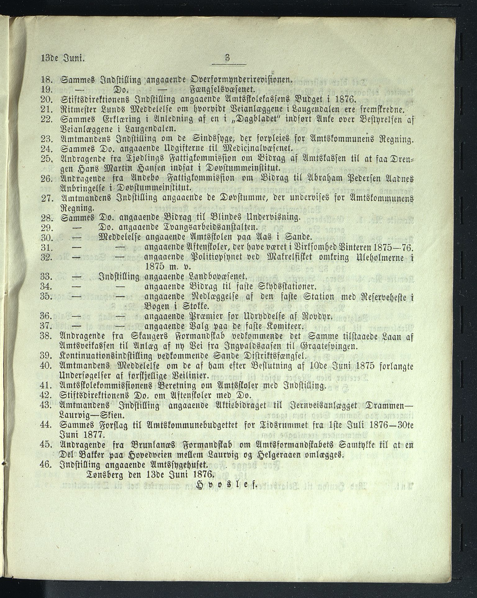 Vestfold fylkeskommune. Fylkestinget, VEMU/A-1315/A/Ab/Abb/L0023: Fylkestingsforhandlinger, 1876