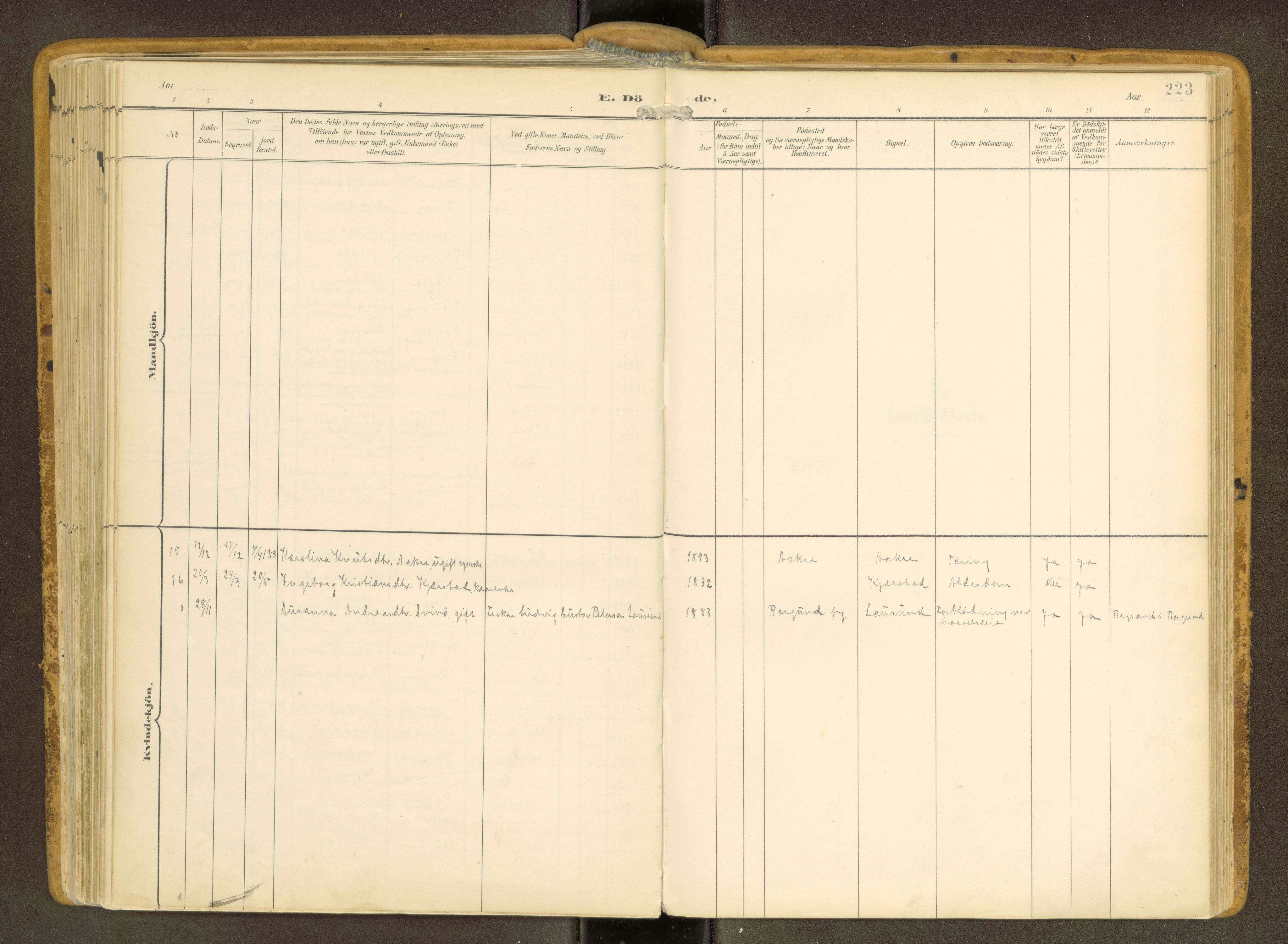 Ministerialprotokoller, klokkerbøker og fødselsregistre - Møre og Romsdal, SAT/A-1454/536/L0517: Parish register (official) no. 536A--, 1897-1917, p. 223