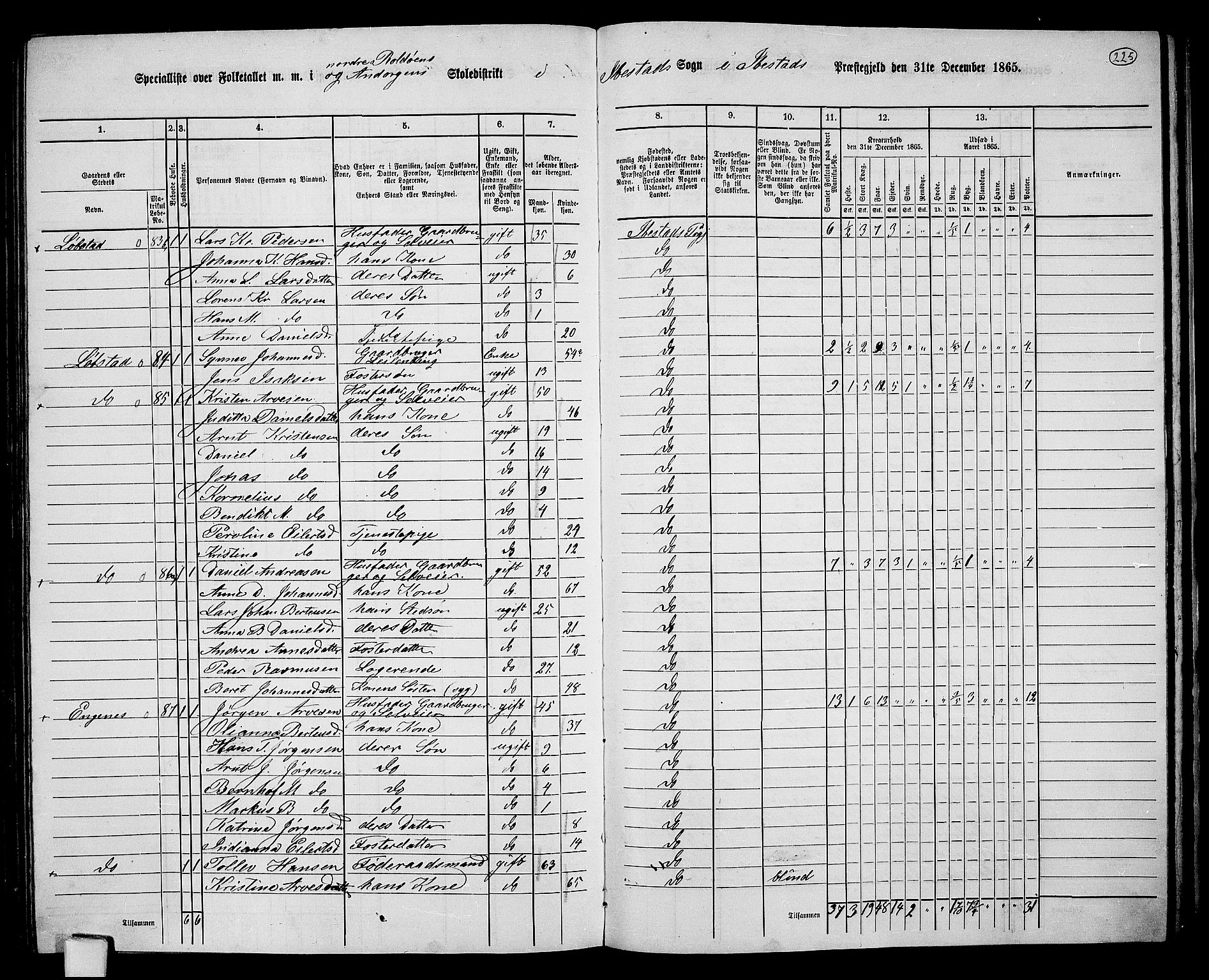 RA, 1865 census for Ibestad, 1865, p. 210