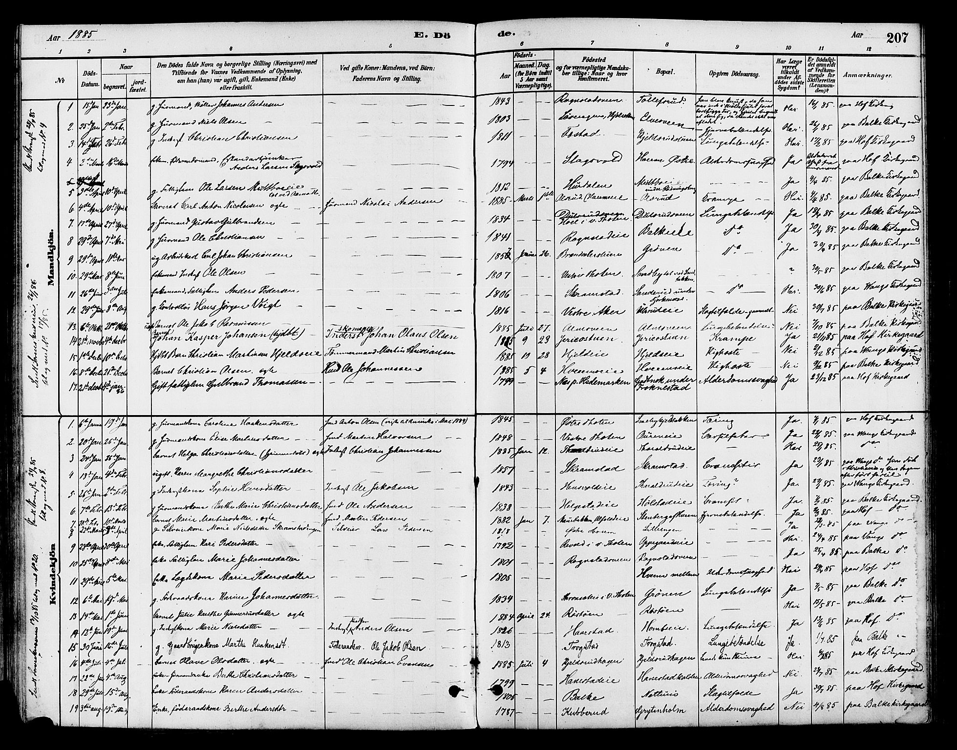 Østre Toten prestekontor, AV/SAH-PREST-104/H/Ha/Haa/L0007: Parish register (official) no. 7, 1881-1896, p. 207