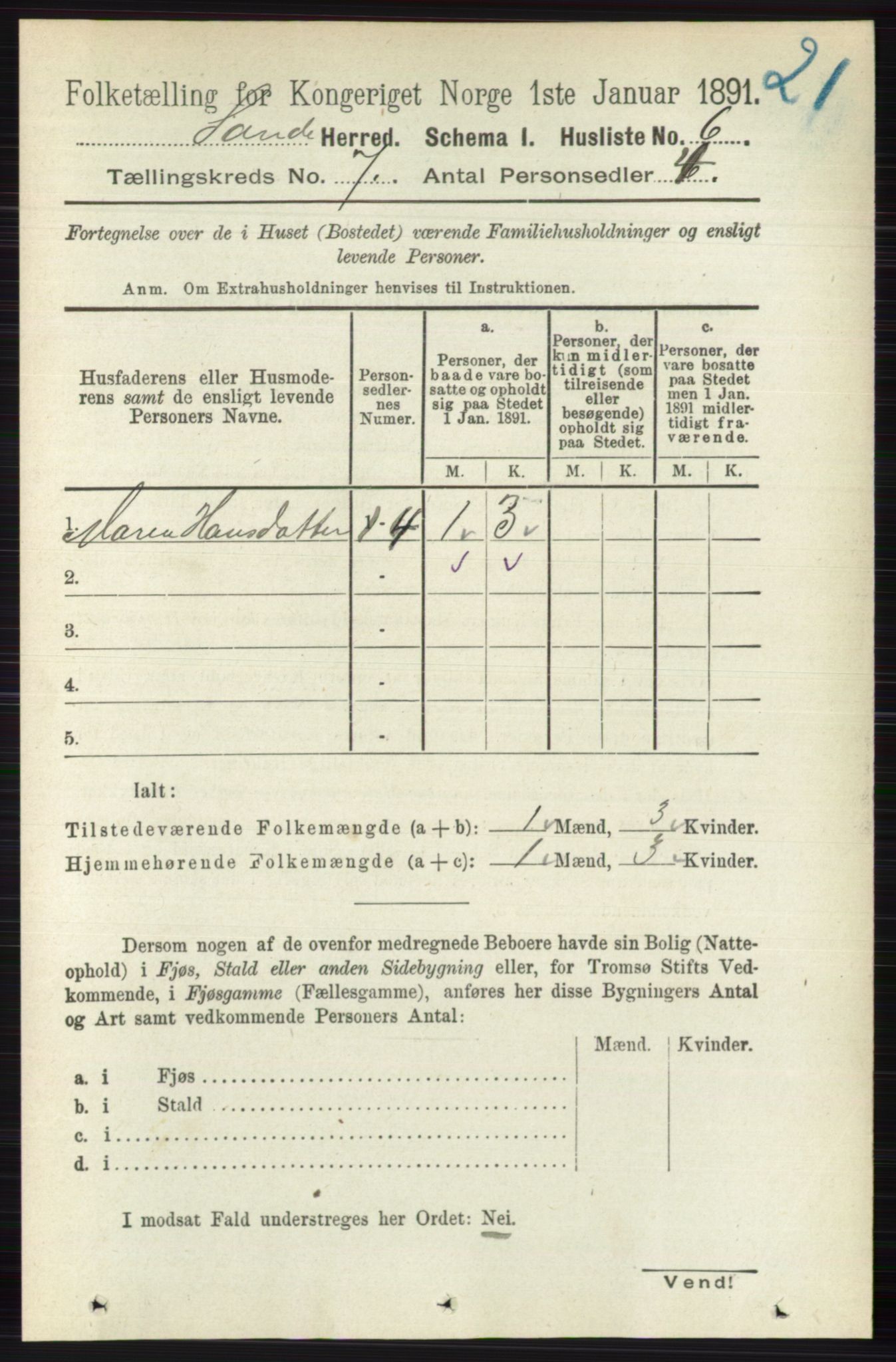 RA, 1891 census for 0713 Sande, 1891, p. 3085