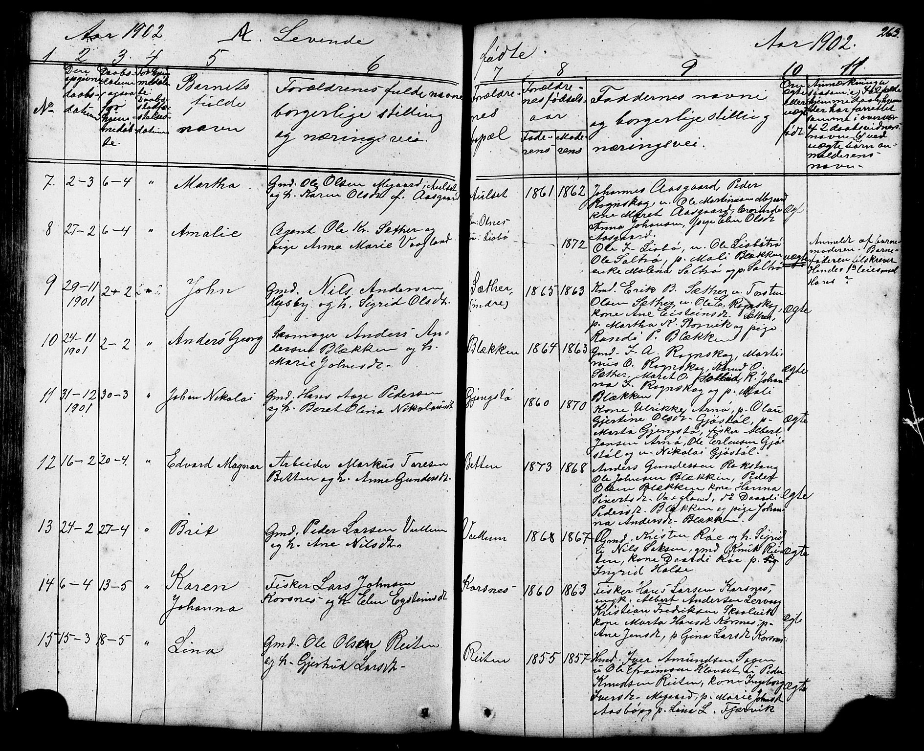 Ministerialprotokoller, klokkerbøker og fødselsregistre - Møre og Romsdal, AV/SAT-A-1454/576/L0890: Parish register (copy) no. 576C01, 1837-1908, p. 263