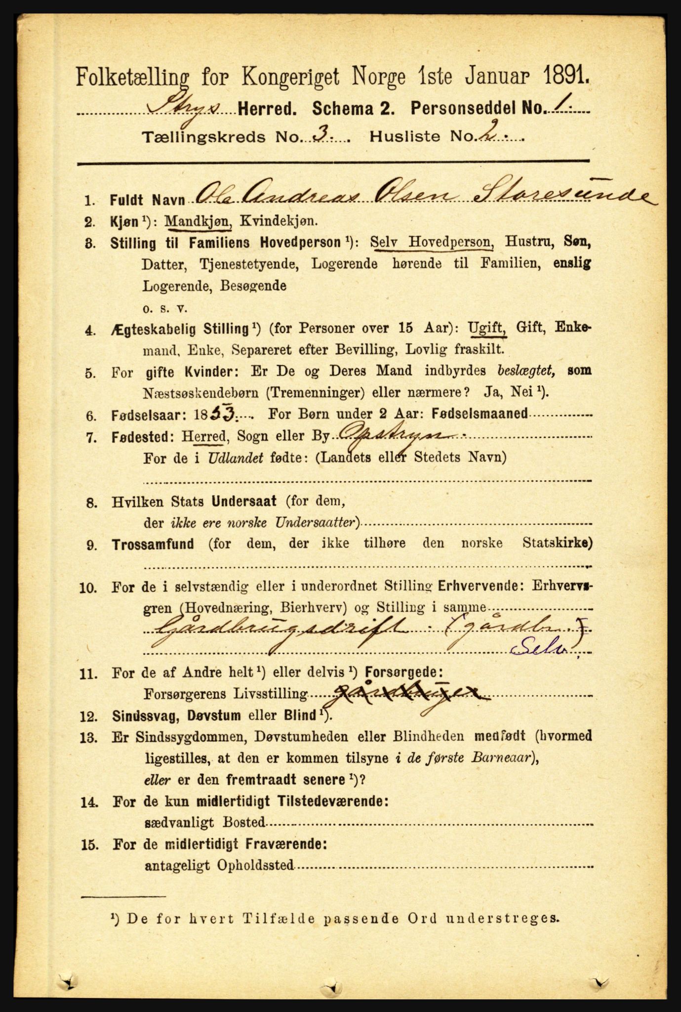 RA, 1891 census for 1448 Stryn, 1891, p. 1104